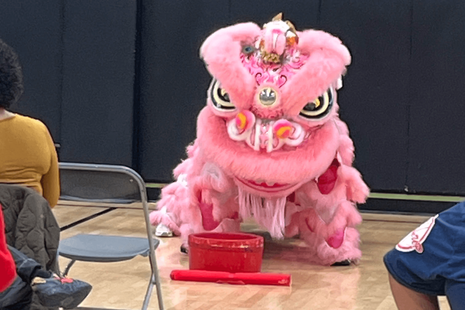 A lion diance performance