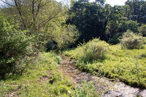 Photo 4 of 40 Acres County Hwy H, Ridgeway
