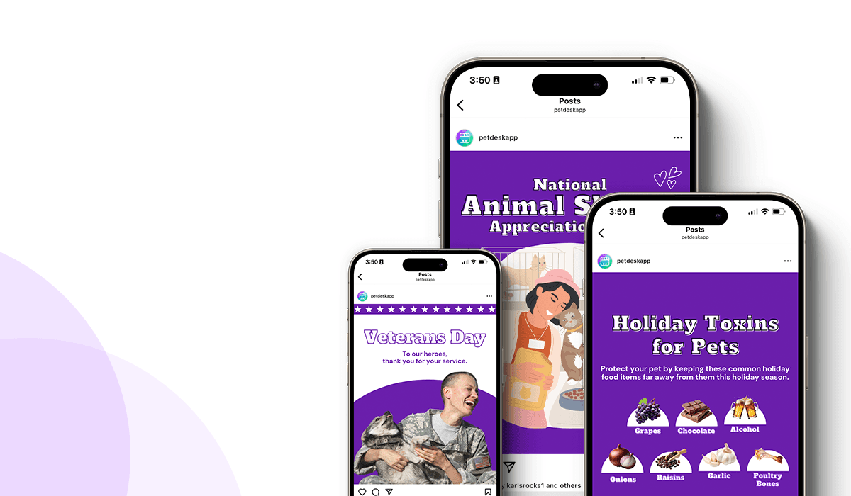 13 Awesome Veterinary Marketing Ideas for November