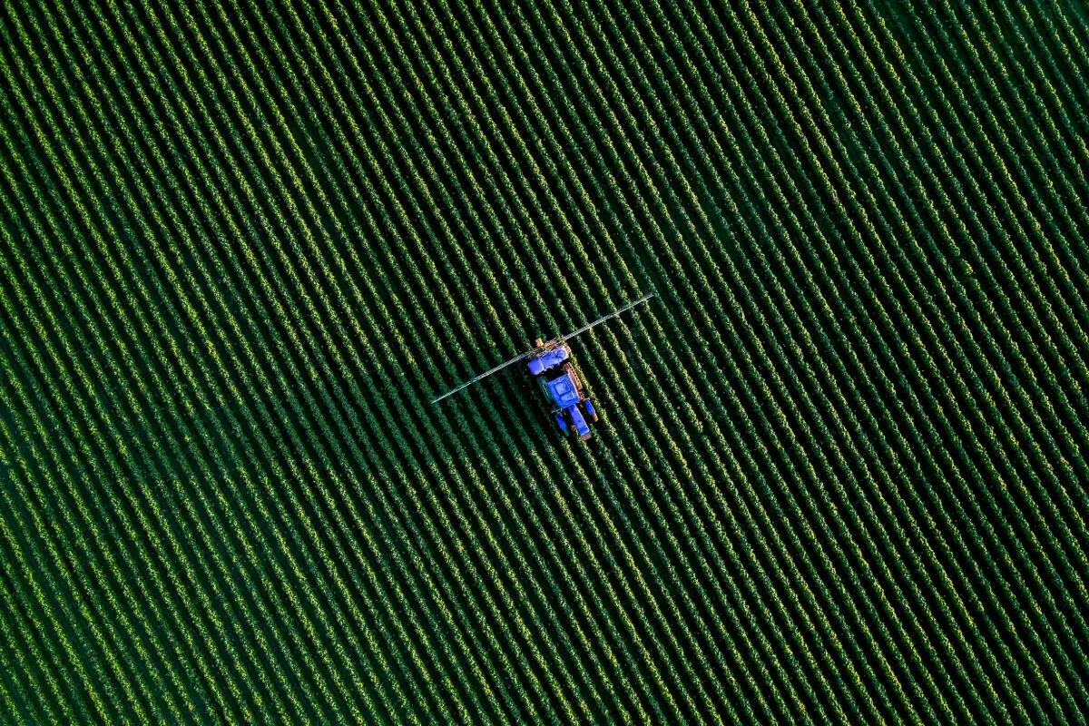 Blauer Traktor fährt durch parallele Reihen eines grünen Feldes in Luftaufnahme.