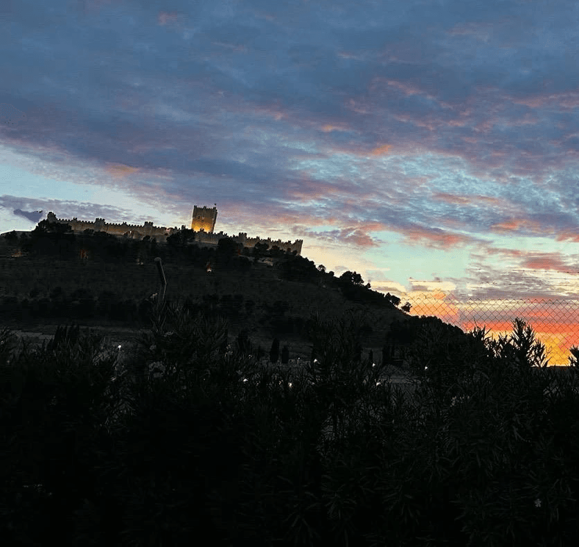 close-up-of-a-handcrafted-arched-wooden-door