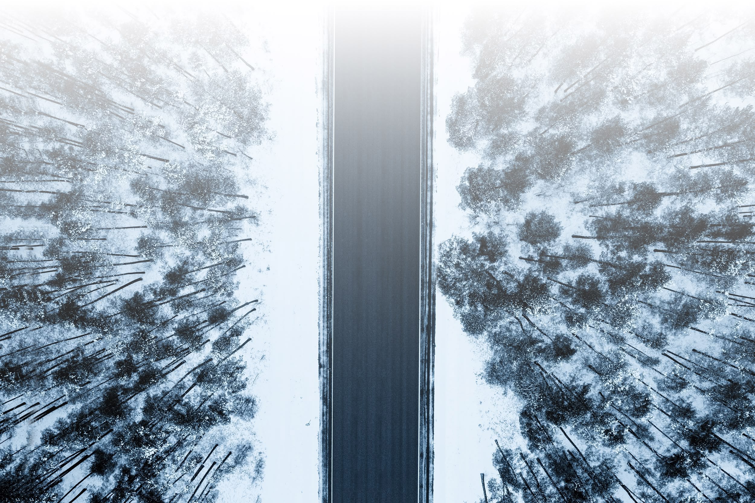 Suusalaenutus Tallinnas