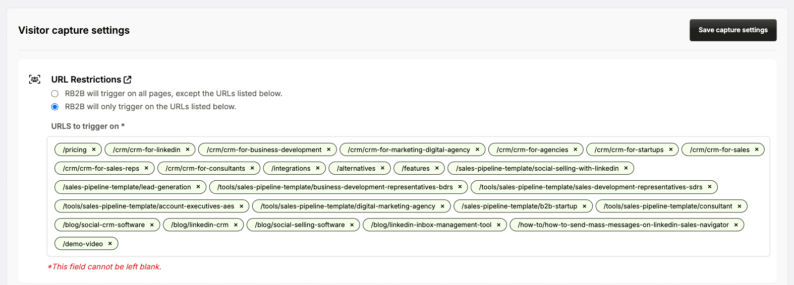 RB2B Review - hot pages