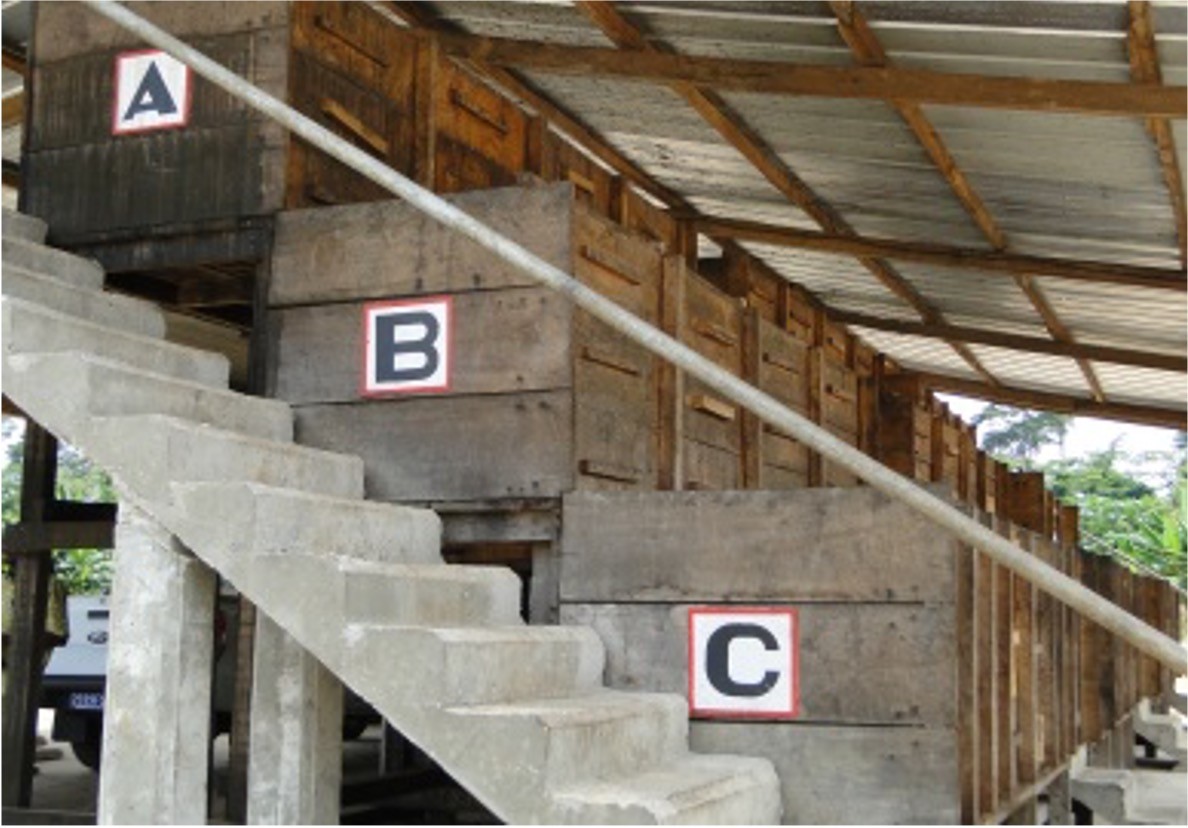 Des caisses de fermentation des fèves de cacao