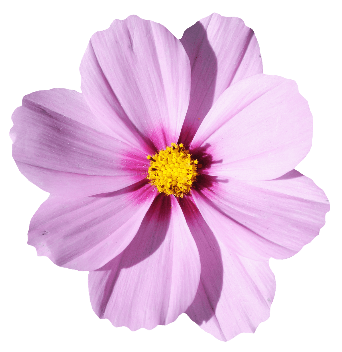 Image of multiple pixelated flat icons