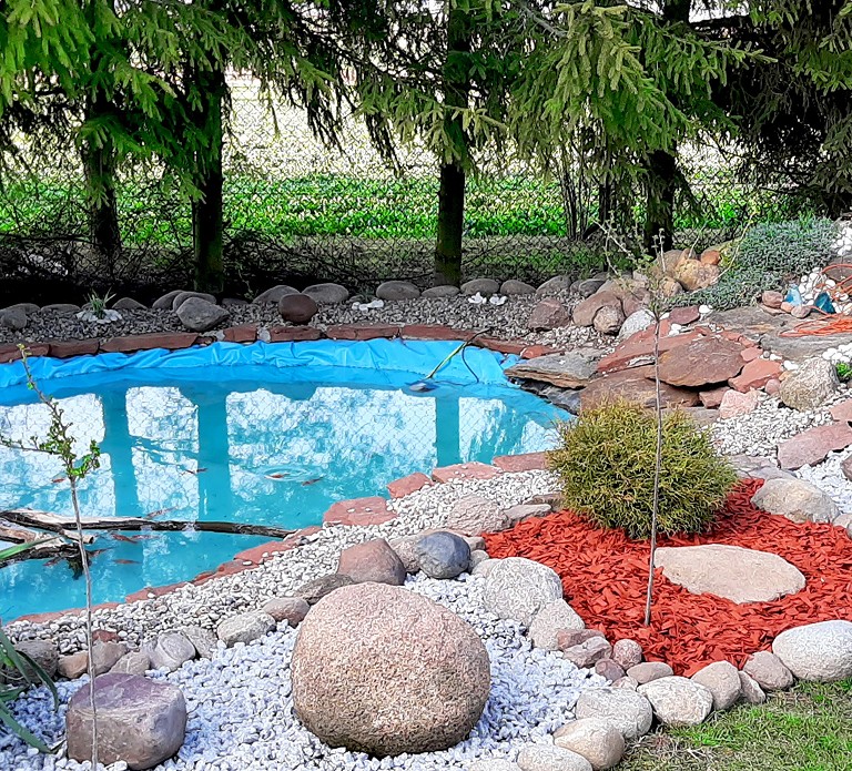 Aranżacja Oczka wodnego