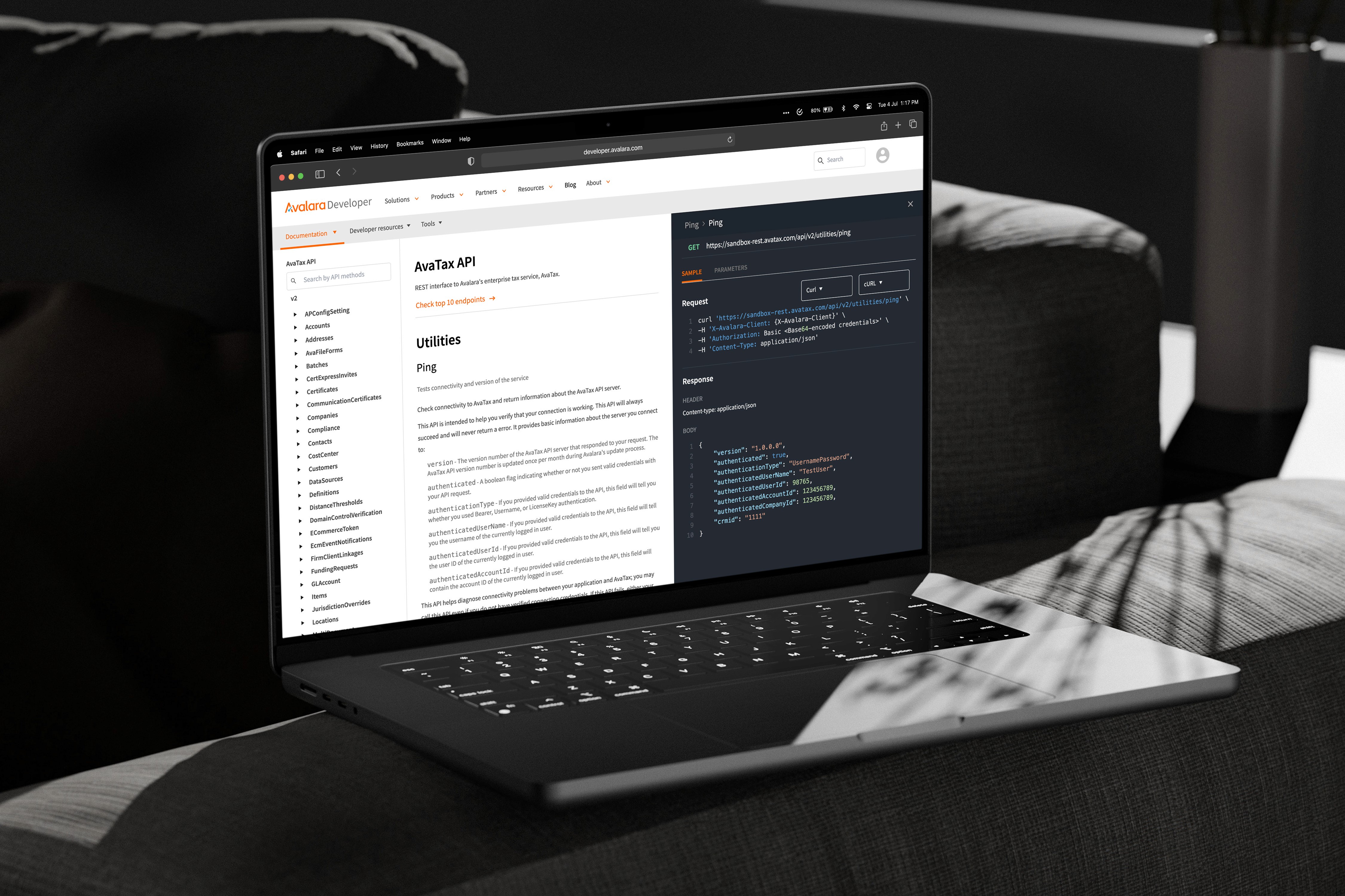 Developer documentation page showing Avalara API references, code snippets, and sidebar navigation.