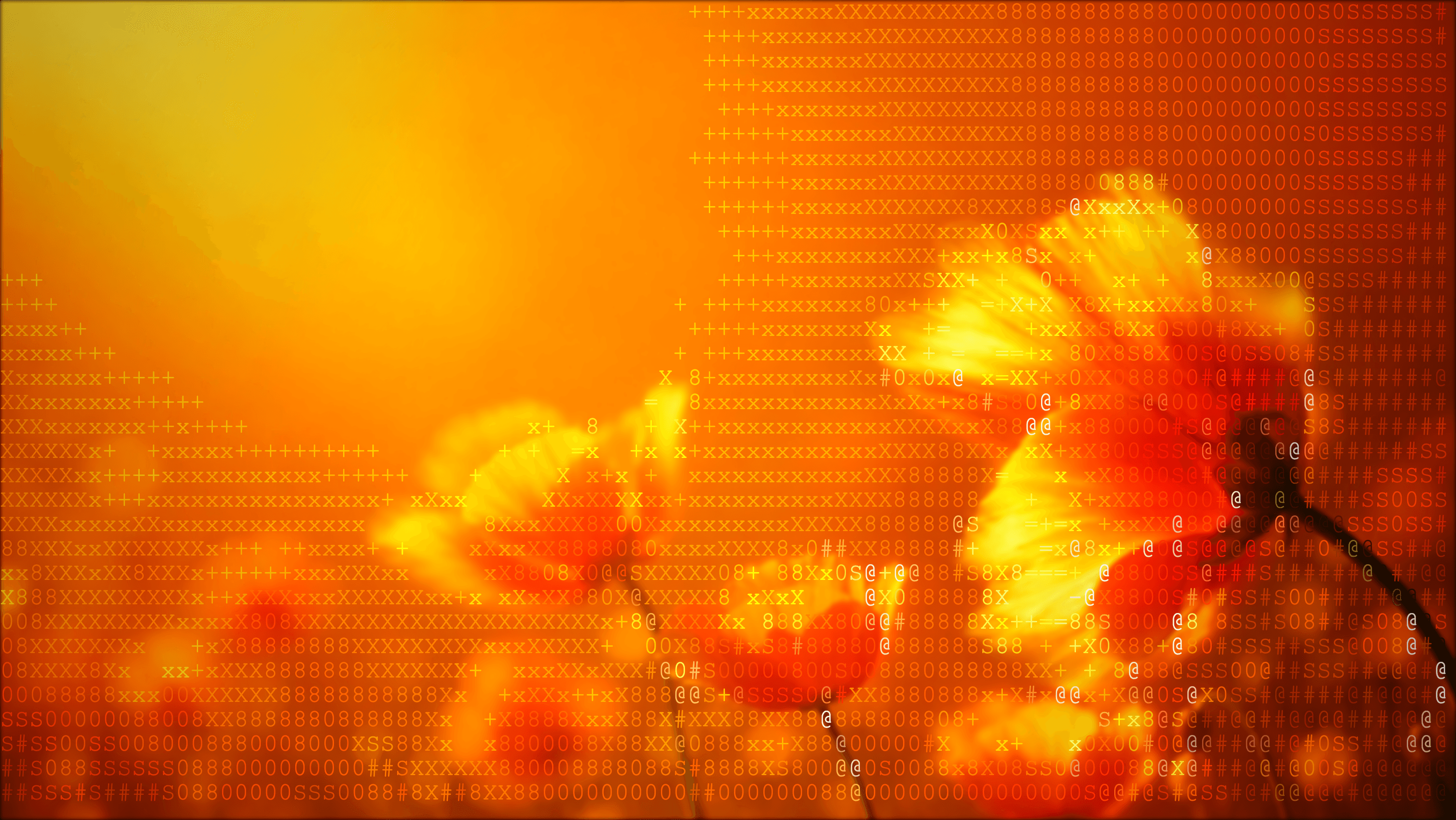 Orange flower with digital overlay