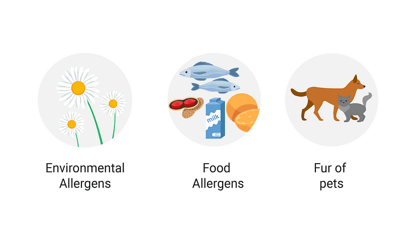 Environmental Allergens Food Allergens Fur if pets