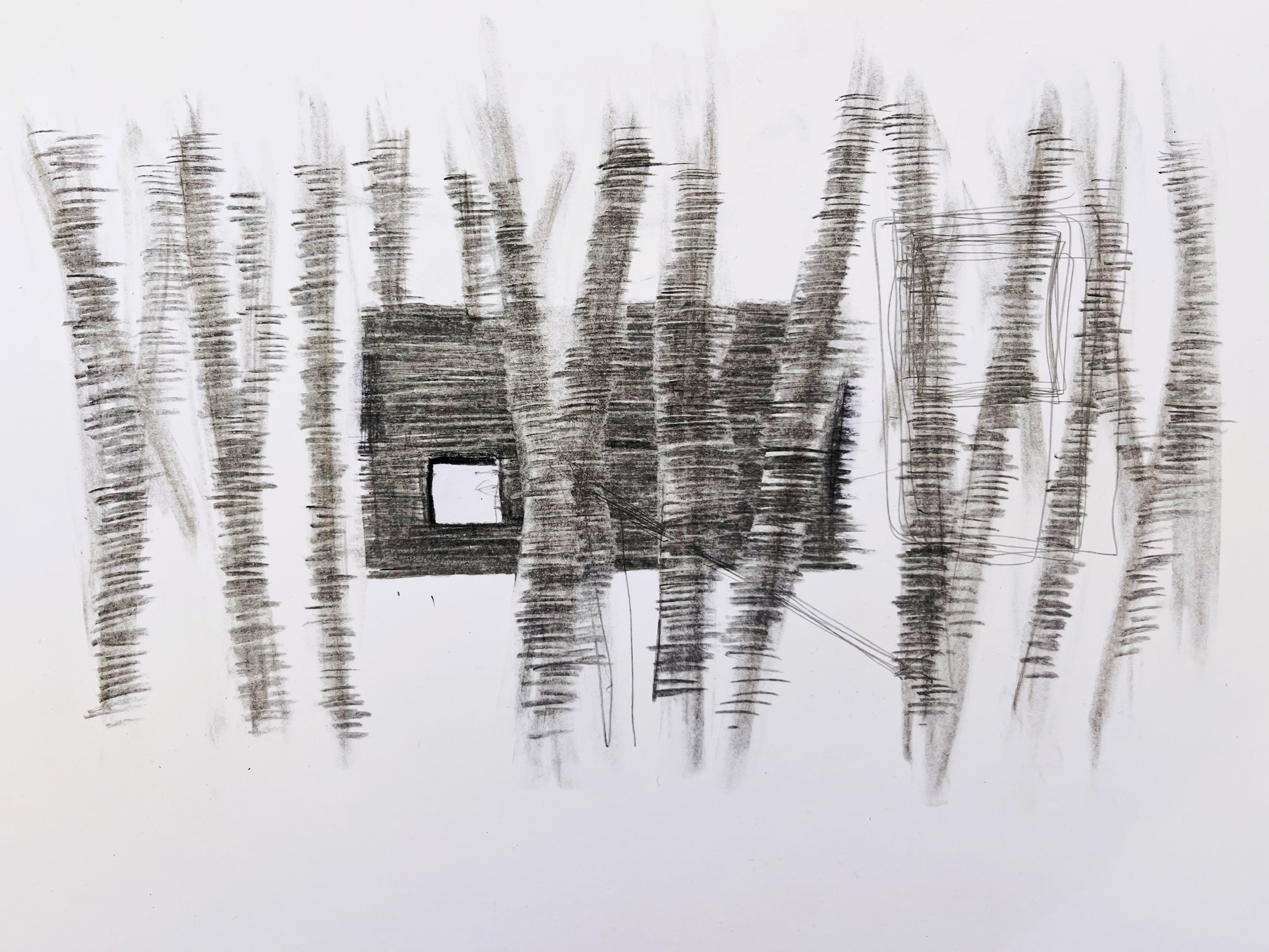 Tiny House dessin concept