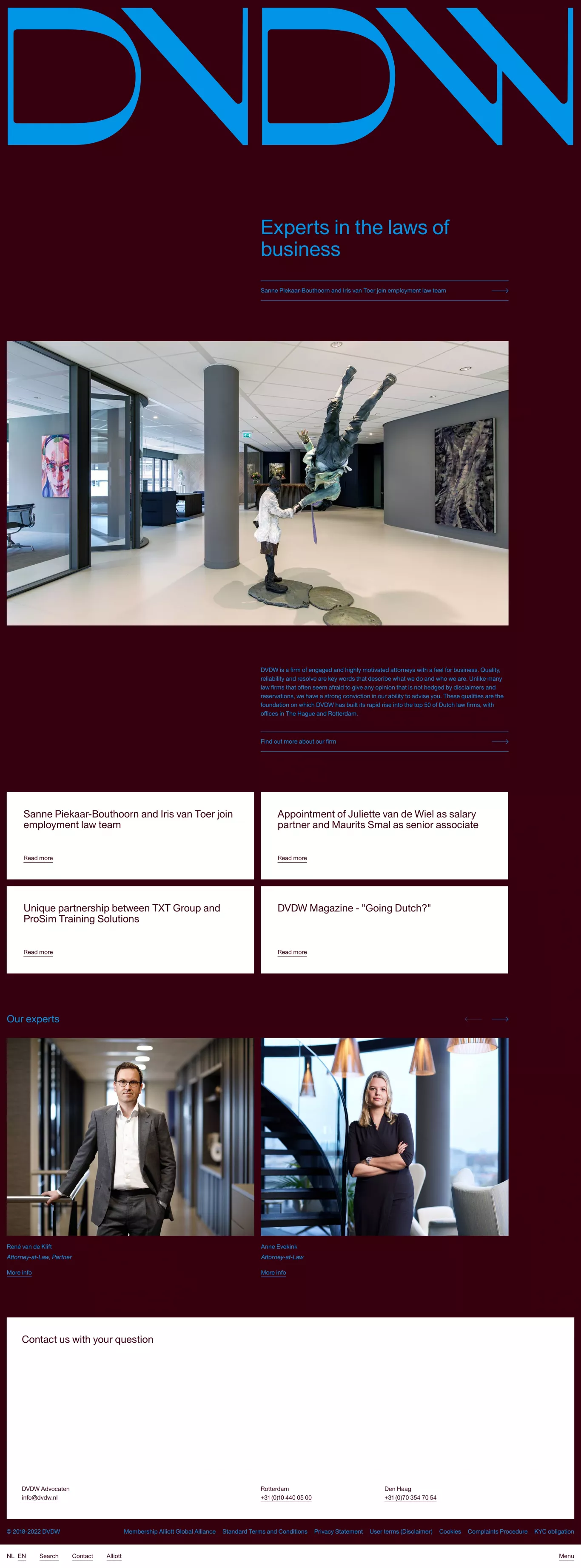 Home portfolio page screenshot showcasing Local Business design