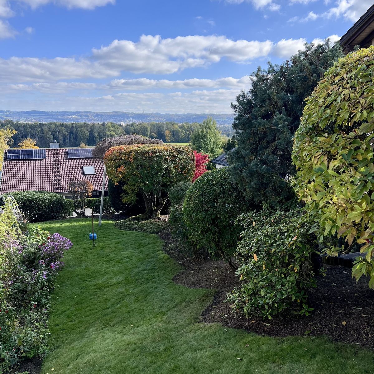 Blick auf eine gepflegte, grüne Gartenanlage mit geschnittenen Hecken, Büschen und einer Rasenfläche unter blauem Himmel, Gartengestaltung Klingenstein.