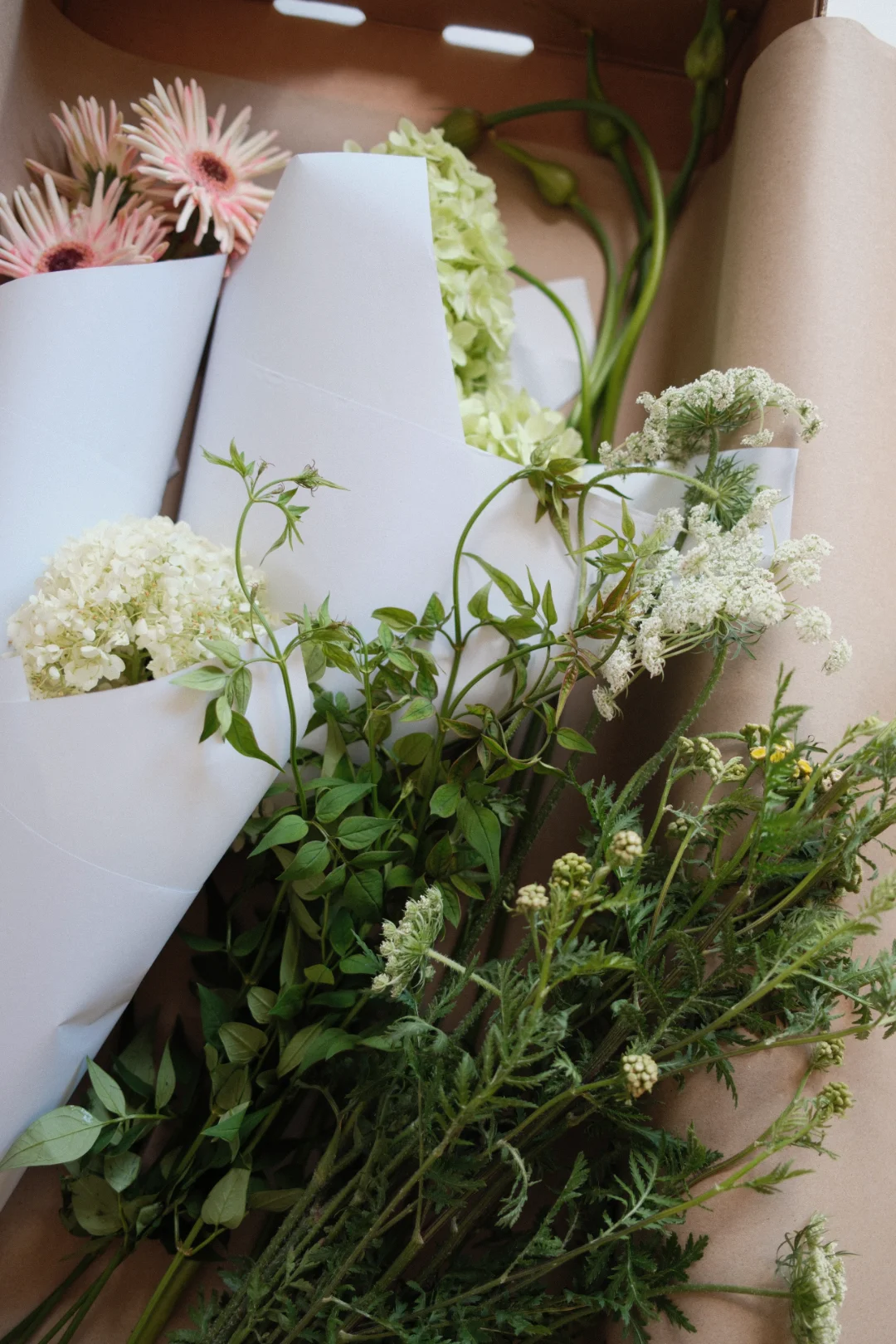 Signature Bunch