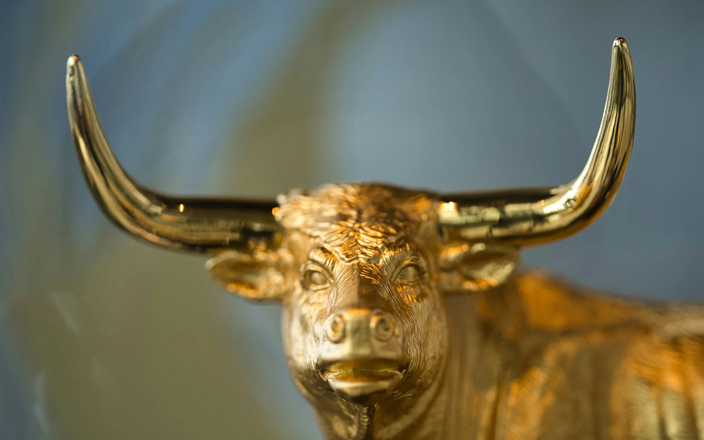 Private Equity industry: digital products by Alpha Expansion