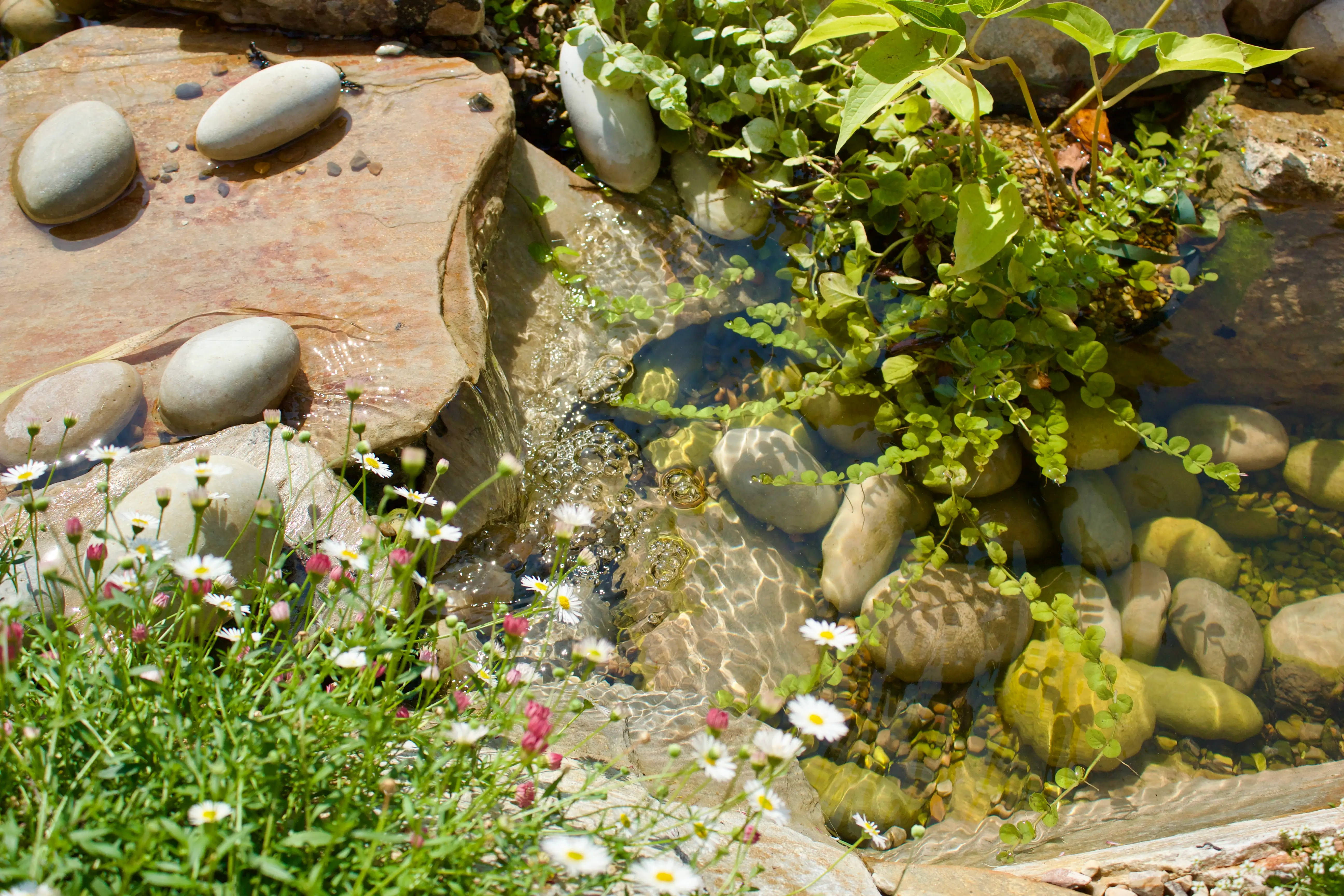 A small stream flows through a garden, surrounded by smooth stones and green plants. Sunlight filters through.