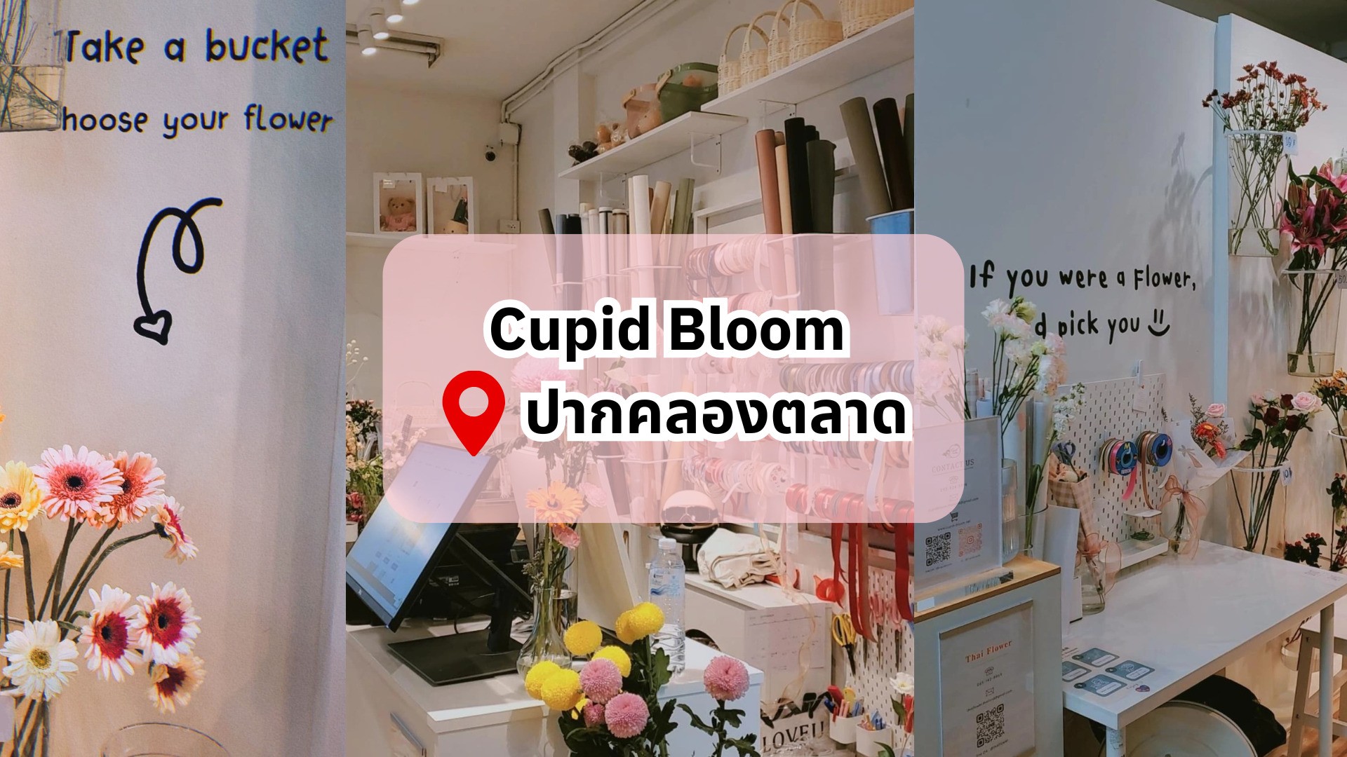 valentines-activities-cupid-bloom