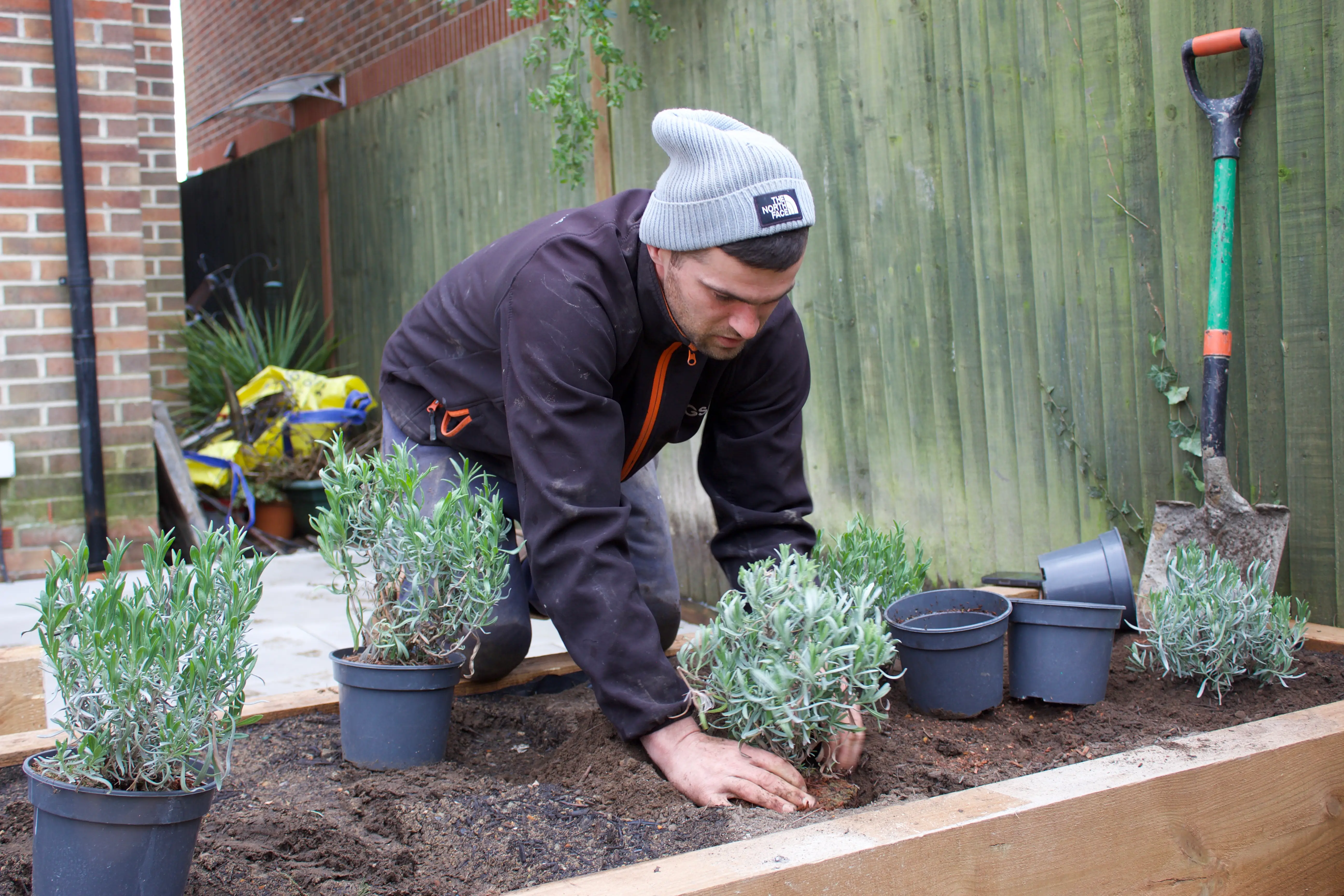A person kneels in a garden, planting potted plants in the soil with a fence in the background.