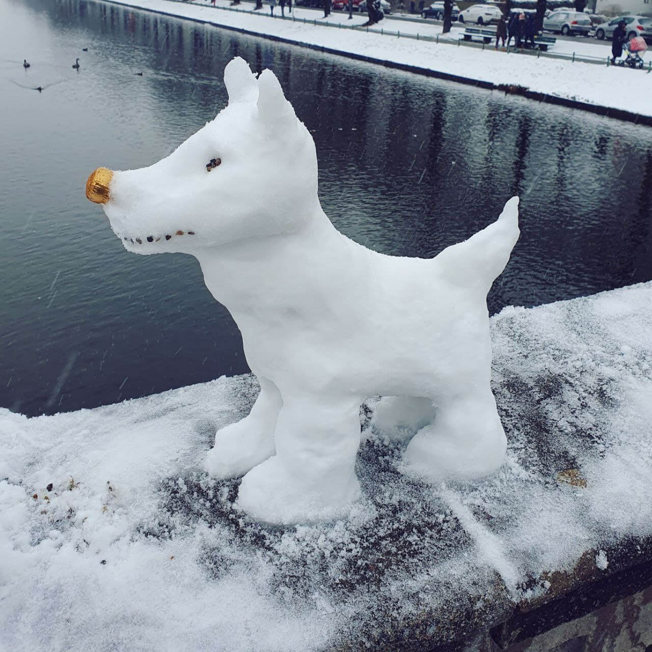 Feedback & Refinement