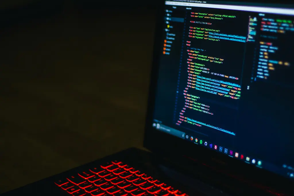 Man Using Laptop