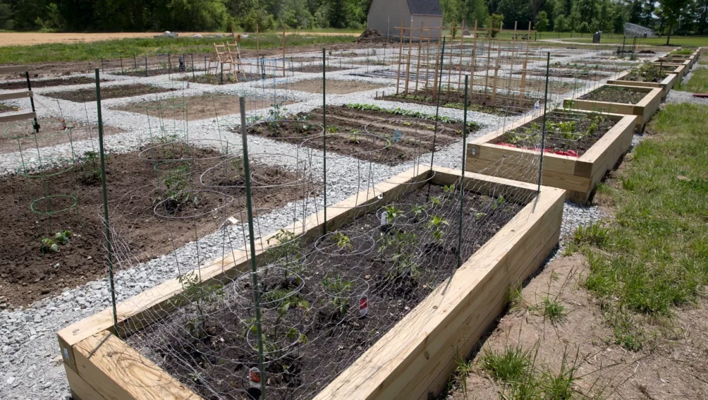 Fishers community garden