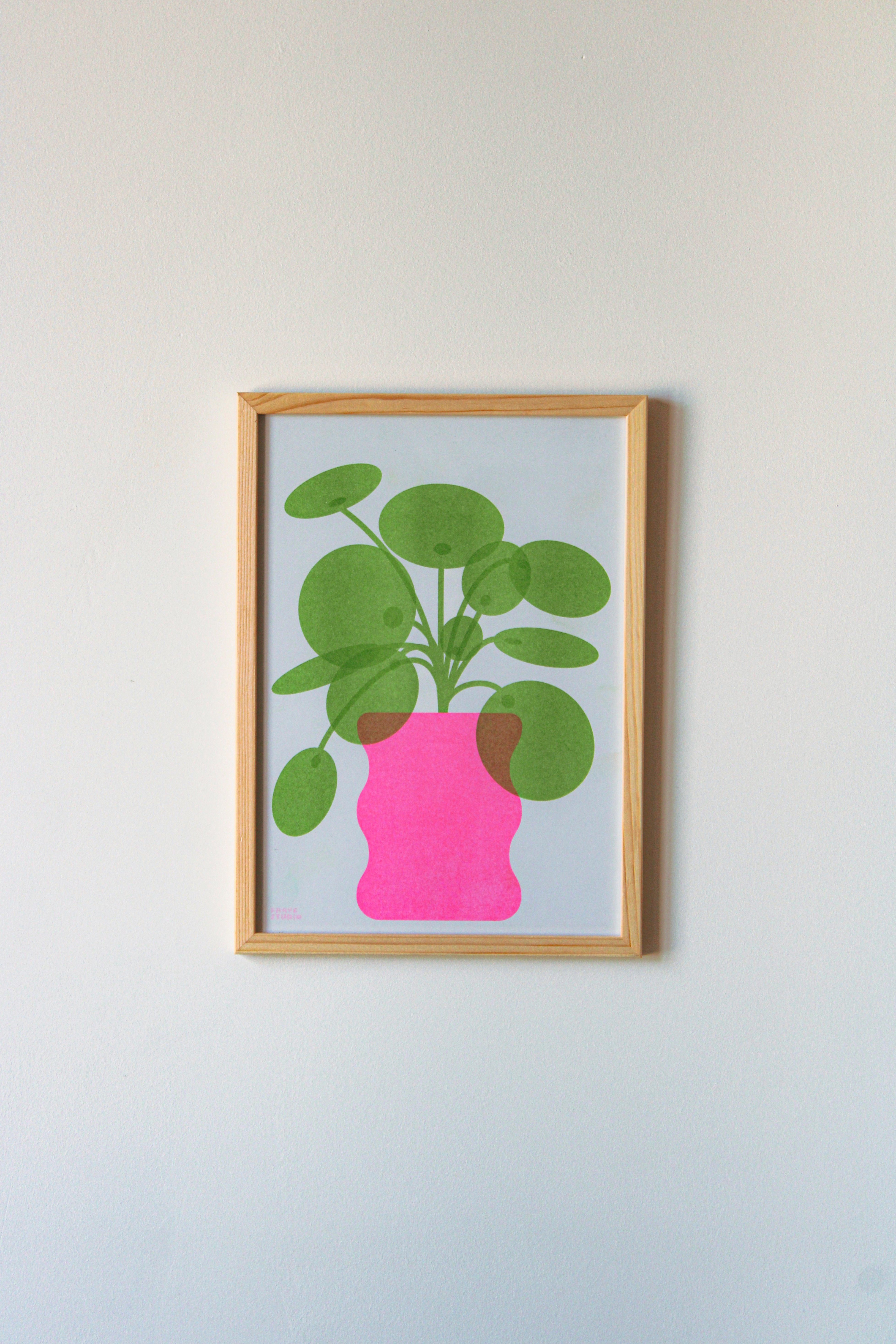 Poster pilea