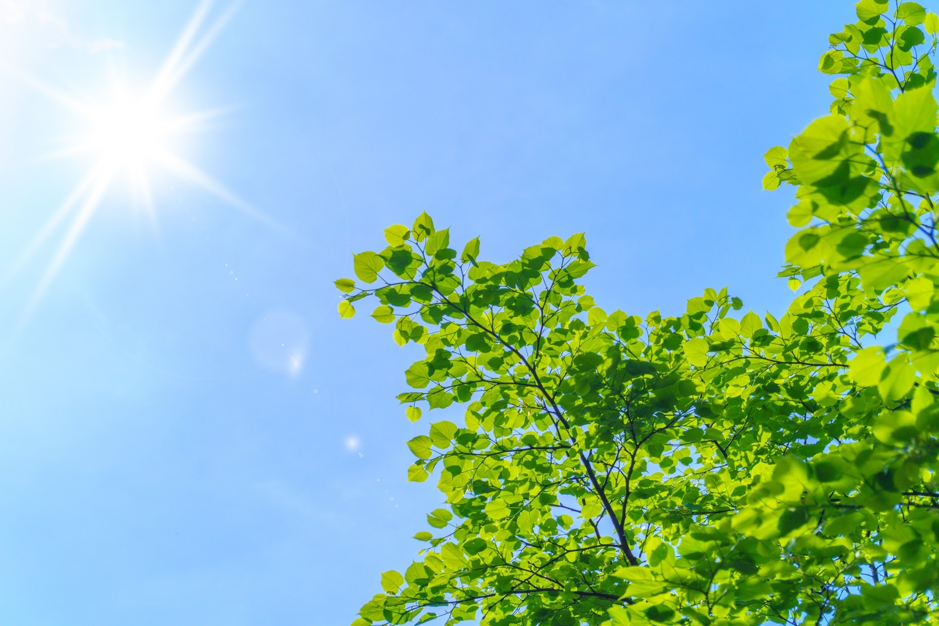青空に輝く眩しい太陽｜4月の急な夏日で熱中症リスク増
