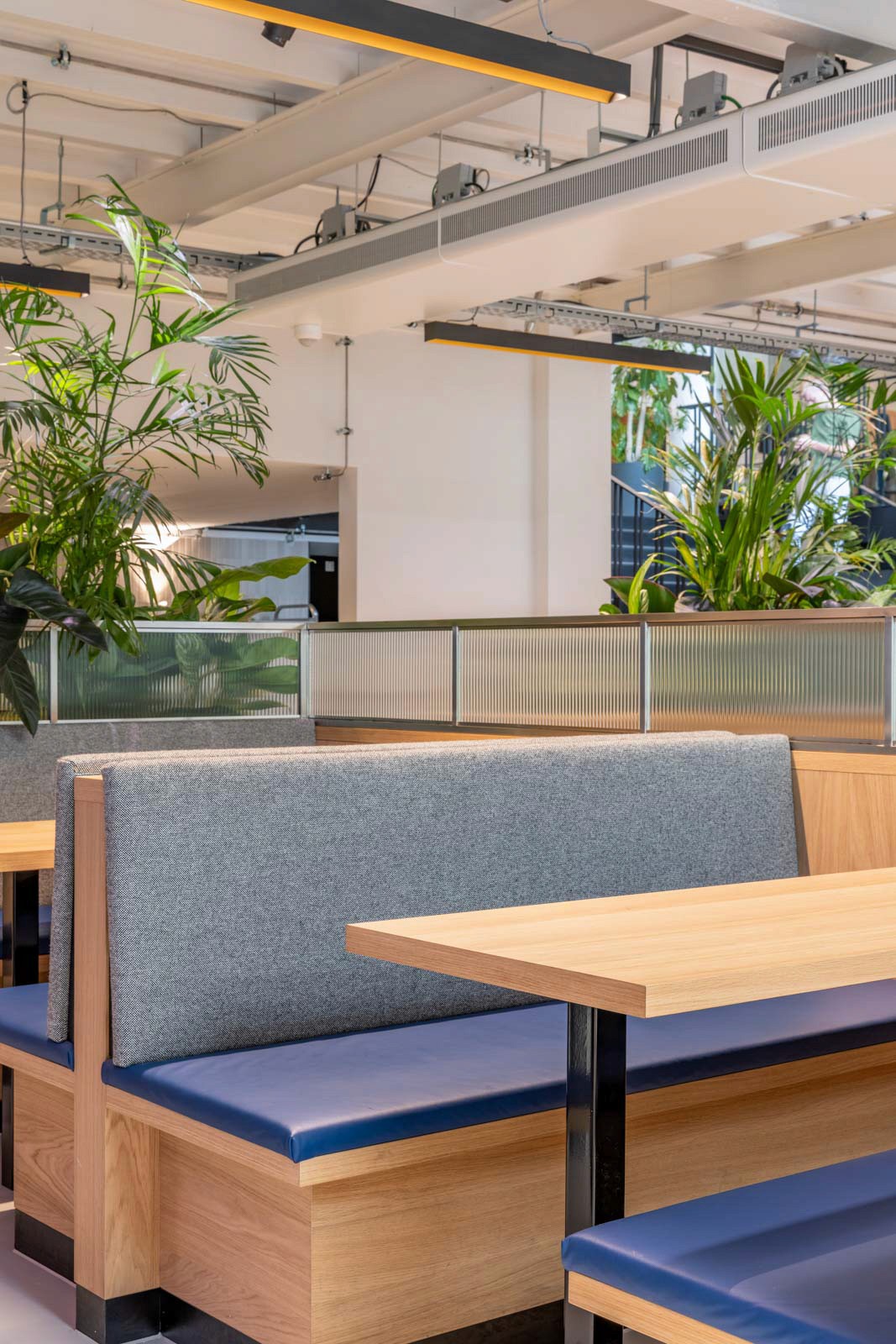 Mollie Payments founders club planter seating by Positive Space