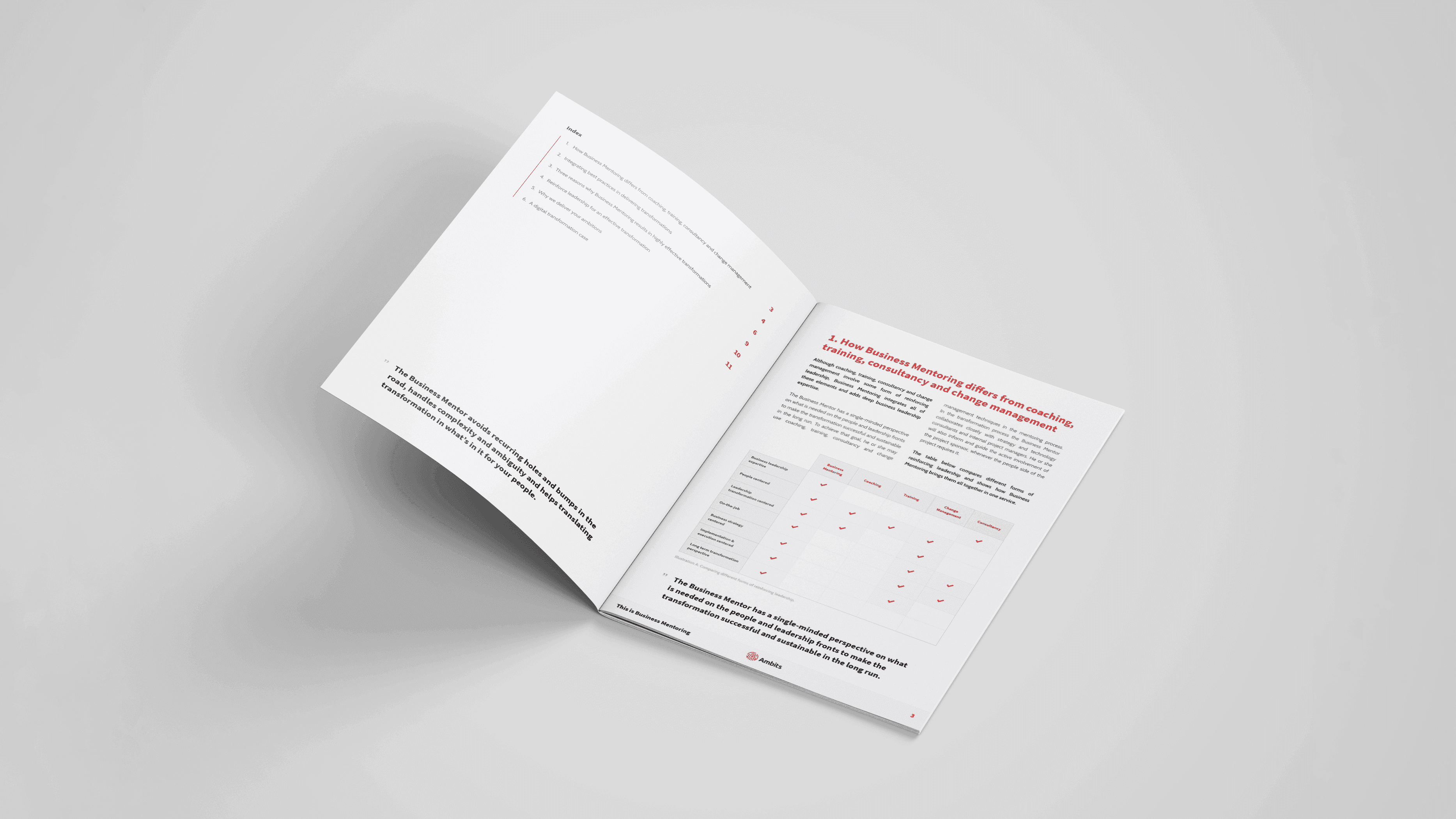 Ambits brochure