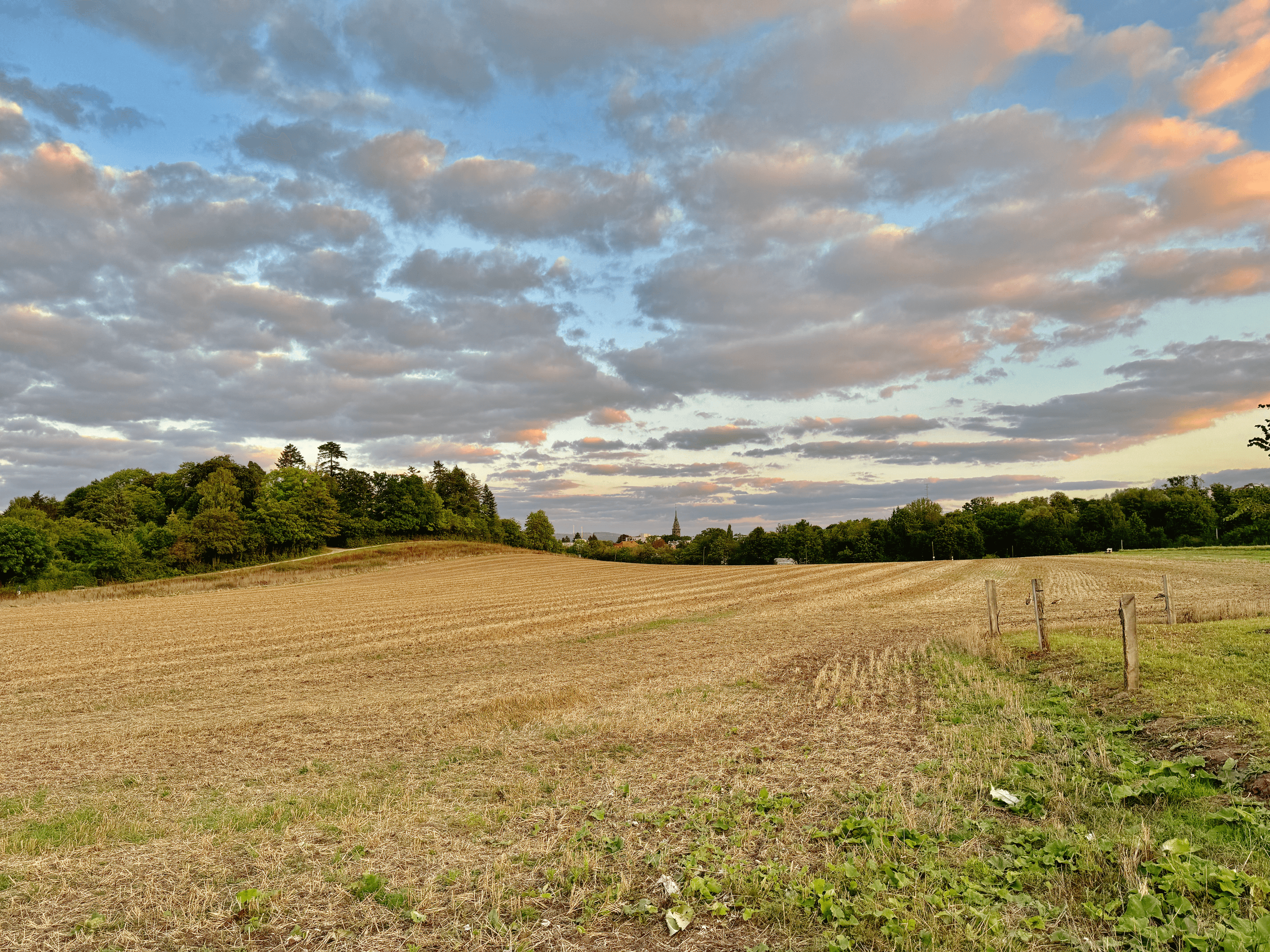 A field with kassel in the distance.