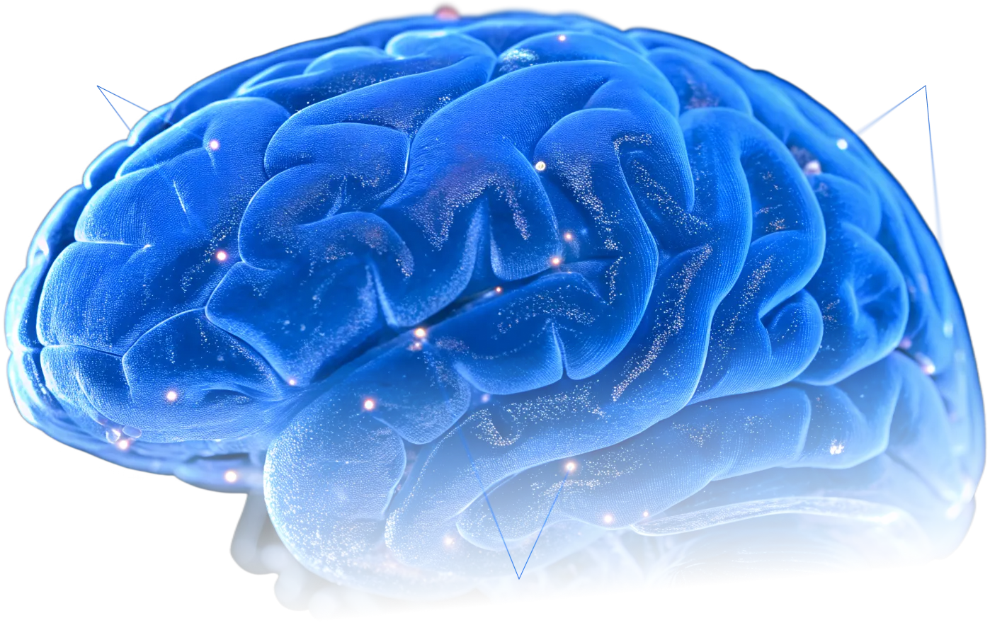 A glowing blue brain representing the ability to work better, study smarter, and live fully.