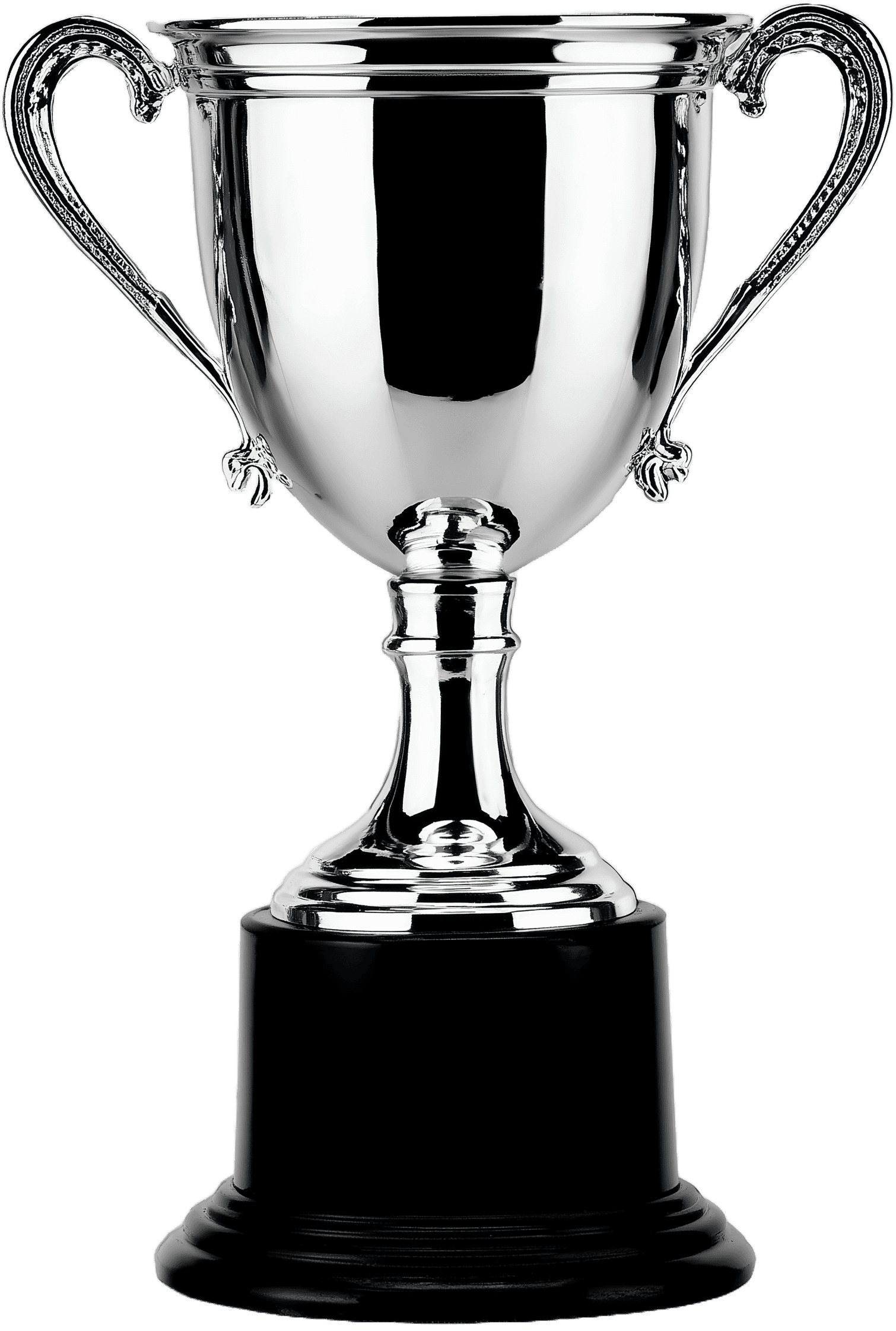 A shiny silver trophy on a black base, symbolizing achievement and victory.