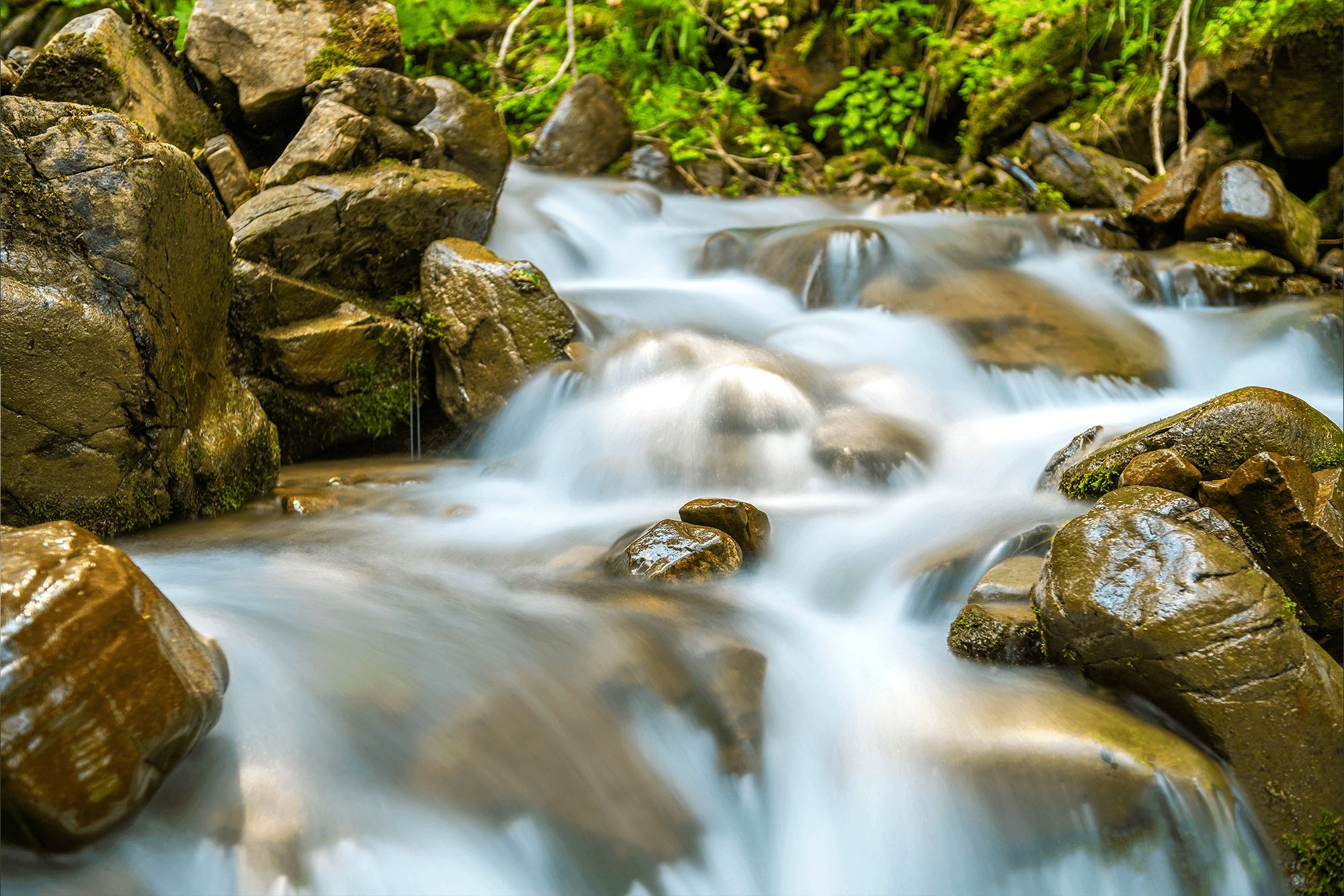 Pürsu Mobile Application