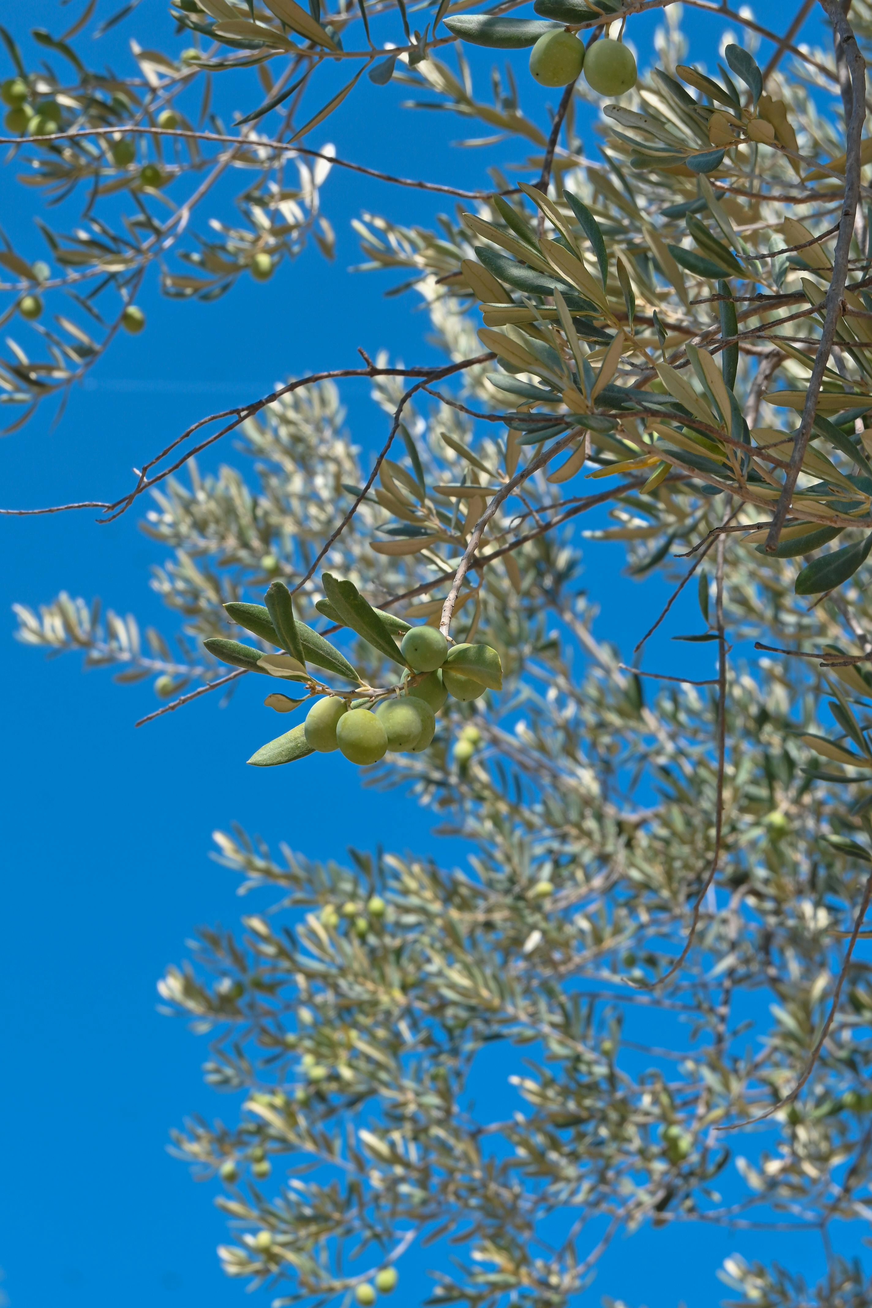 Customer testimonial