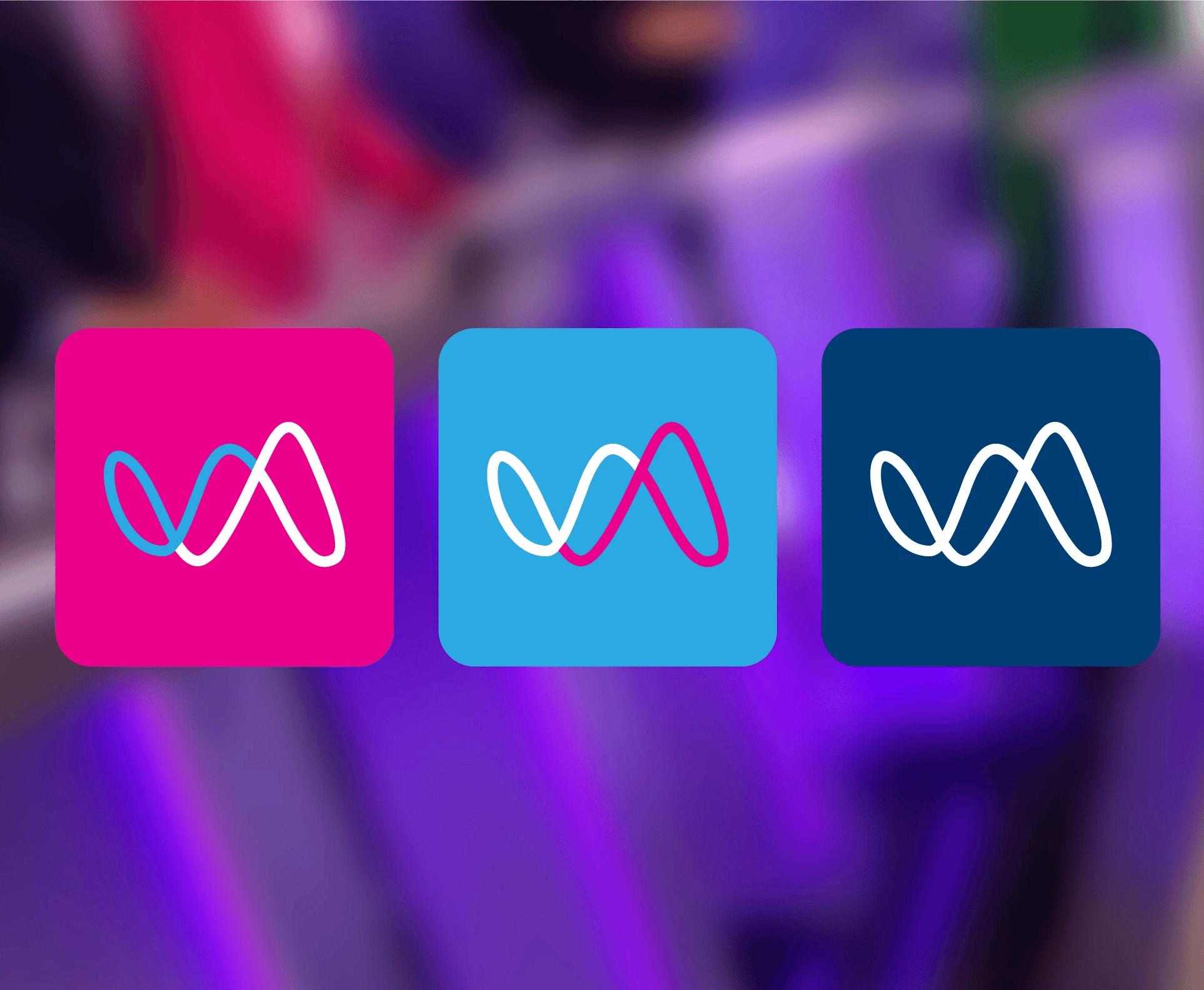 Project Content Image - 4