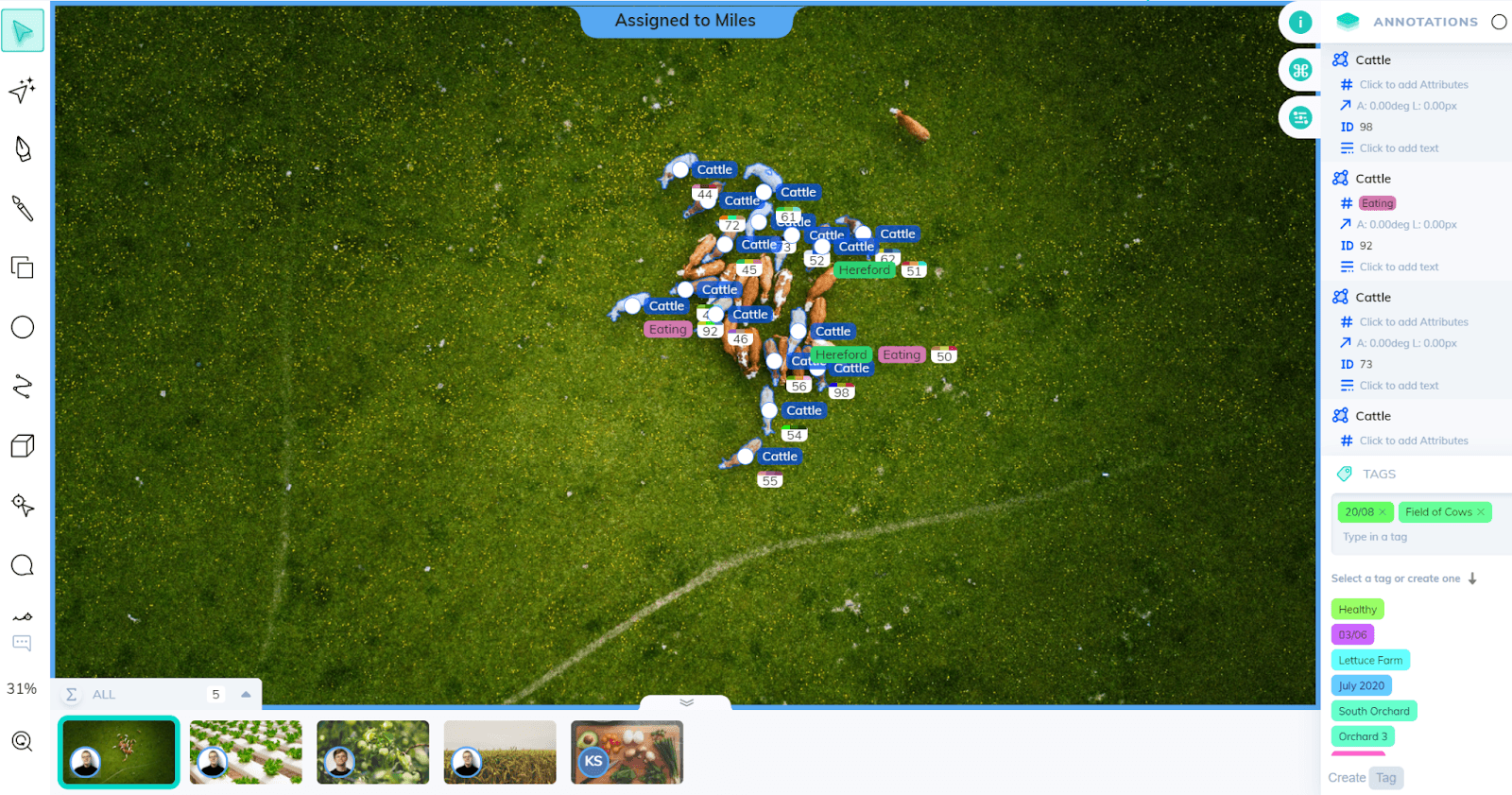 Cattle annotation and counting using a drone image for remote livestock monitoring.