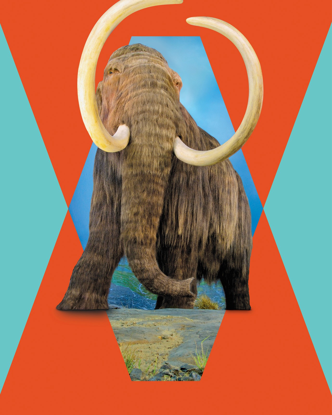 A mammoth against a red and blue background