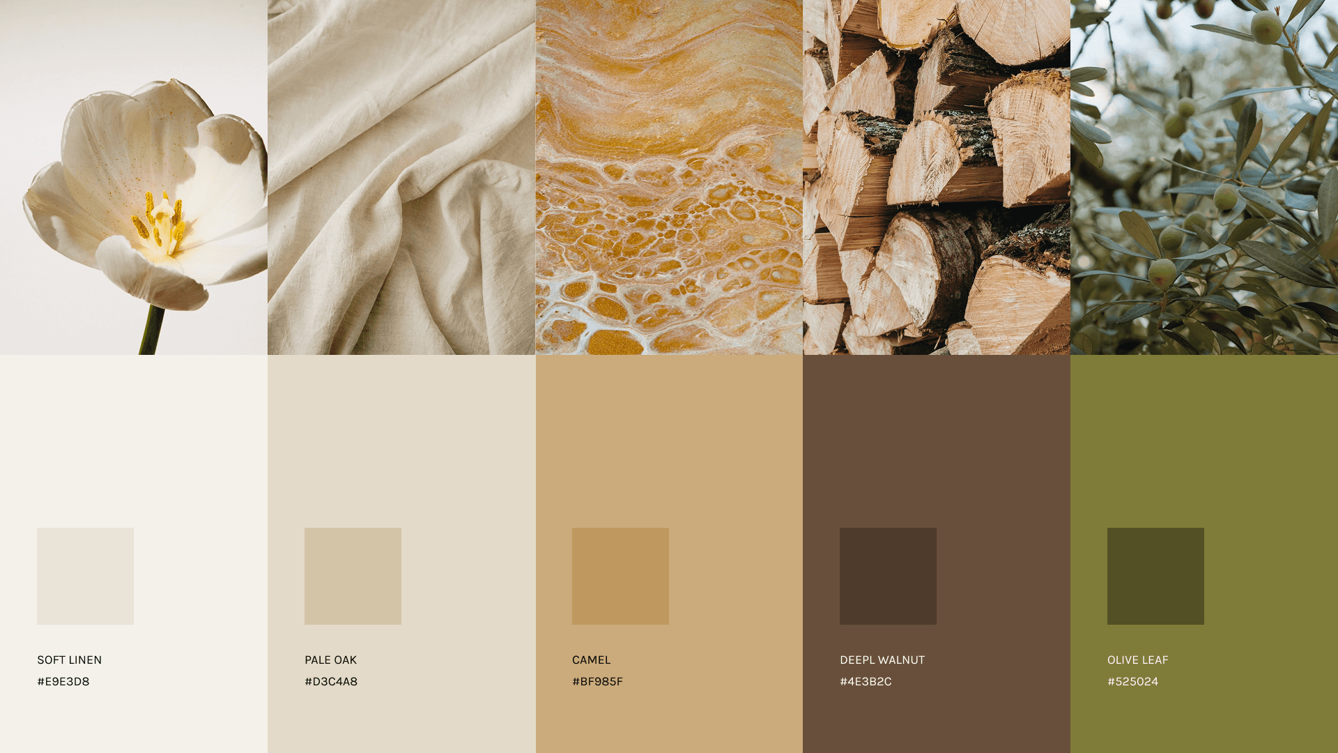 Palette de couleurs et matières de l'identité visuelle Graine & Sauge