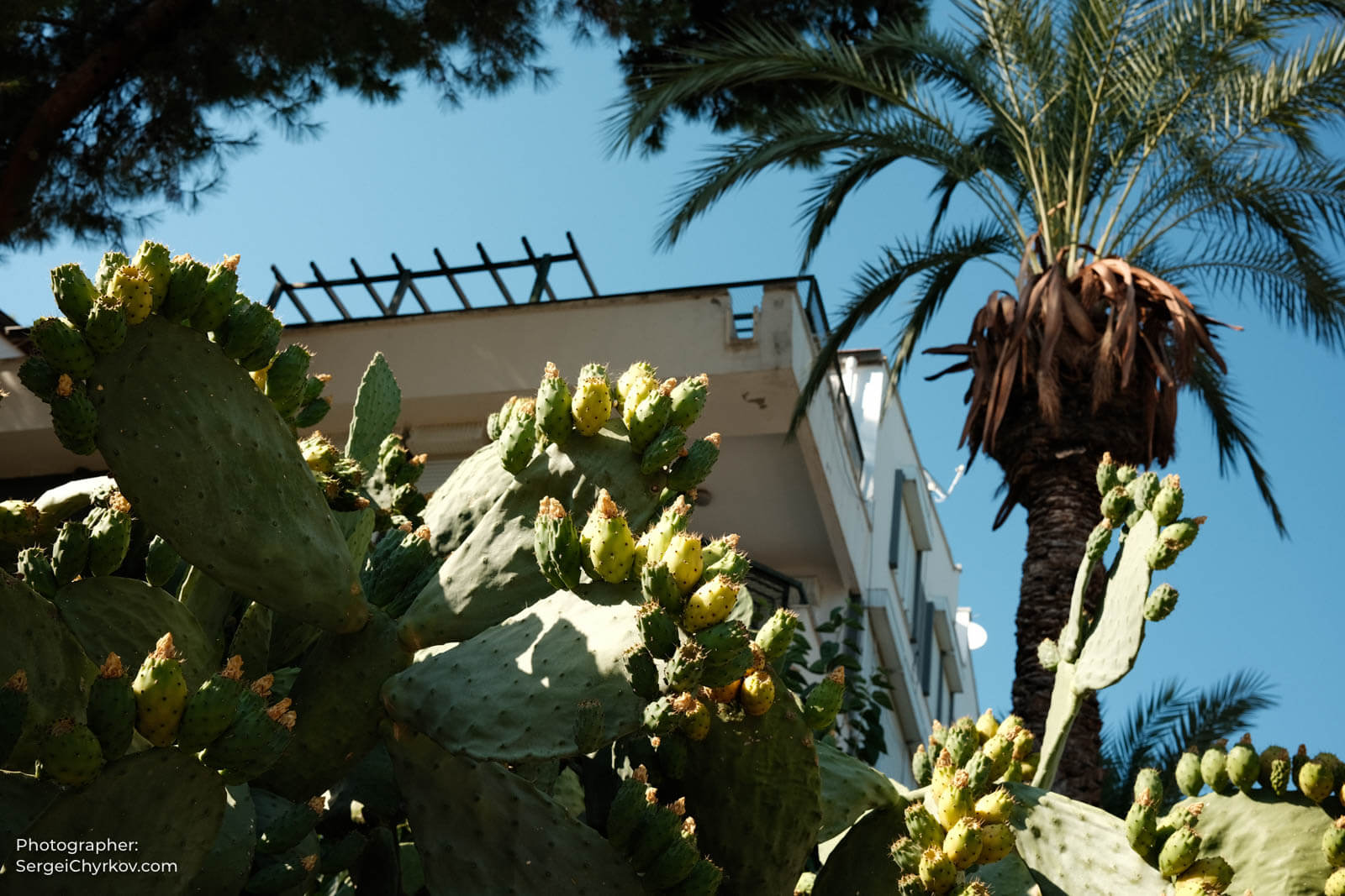 Antalya, Turkey. Photographer: Sergei Chyrkov.