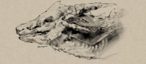 A dragon head in loose ink-wash strokes on tan paper, dragon drawing by clemenss