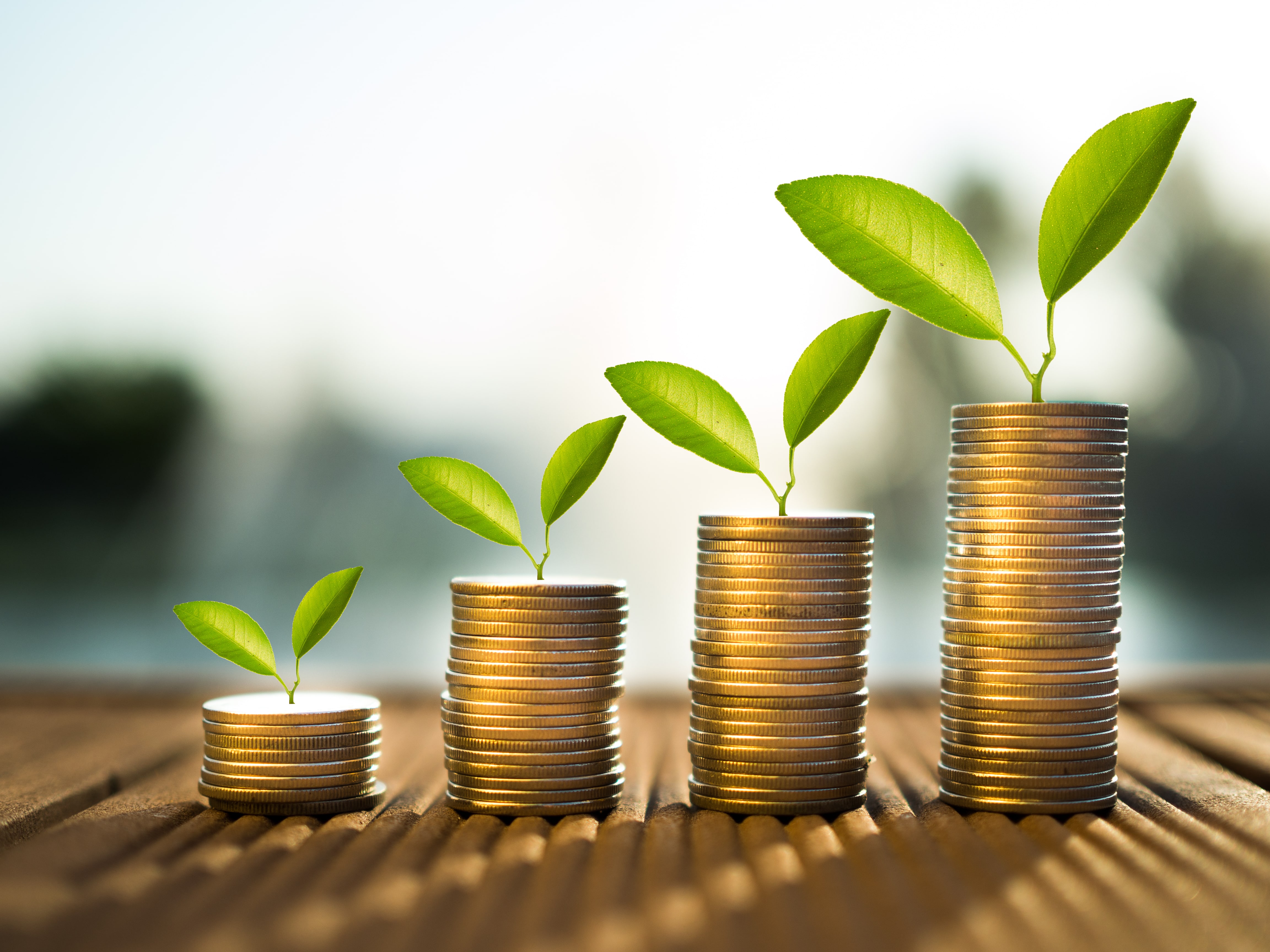 Sustainable Investments