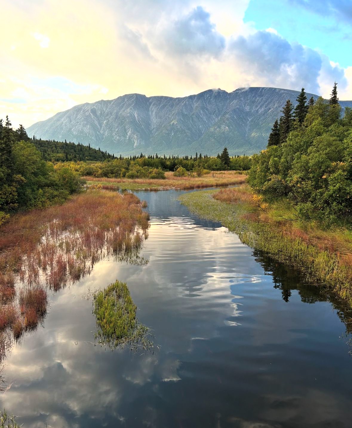 Bellevoire hotel location