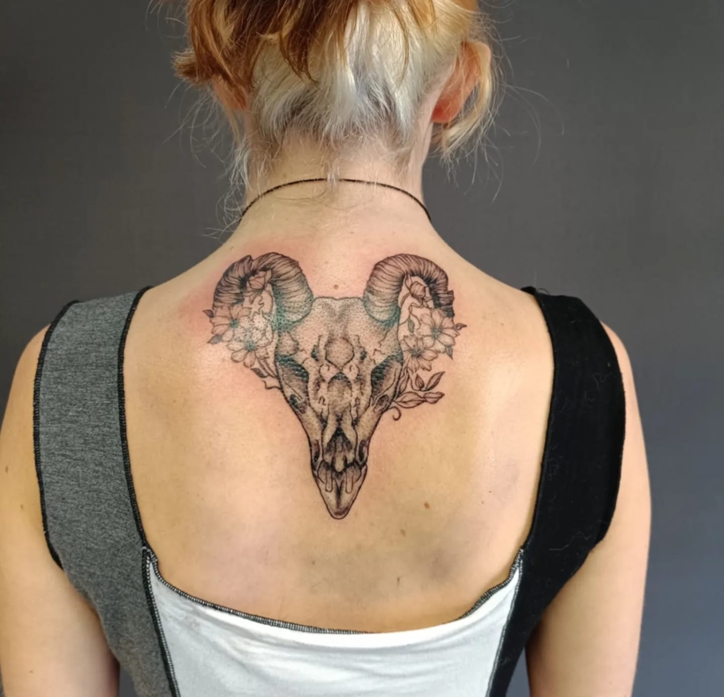 tête de chèvre sur le dos