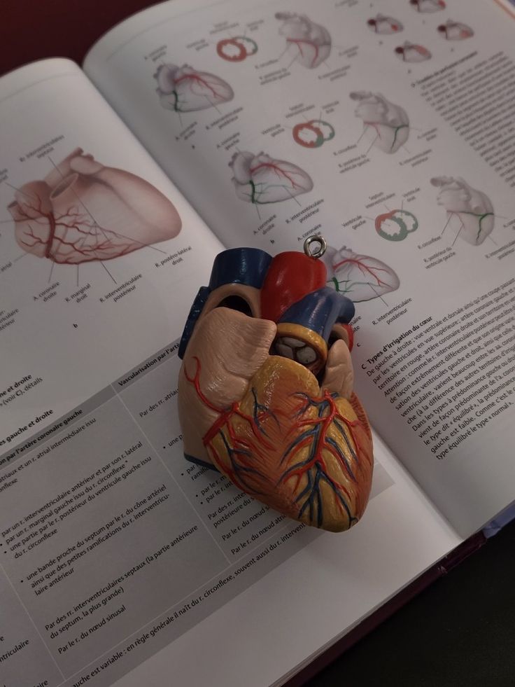 fan of 100 U.S. dollar banknotes