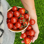 Atsiliepimas apie paslaugas