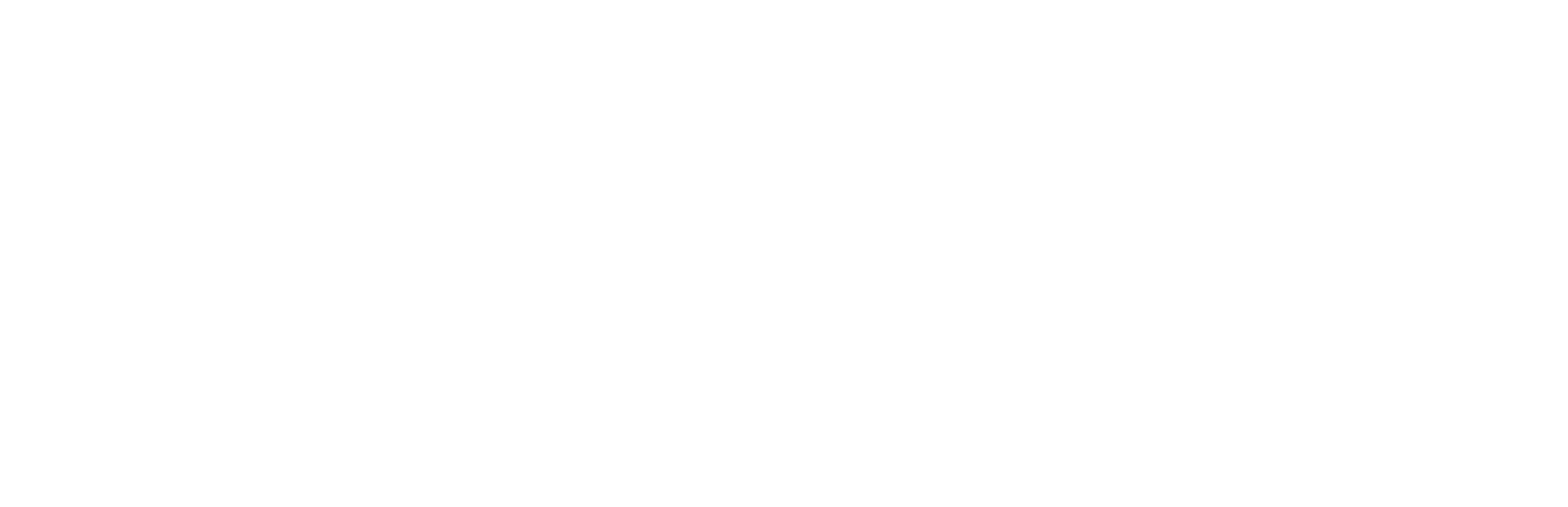 A dummy company logo