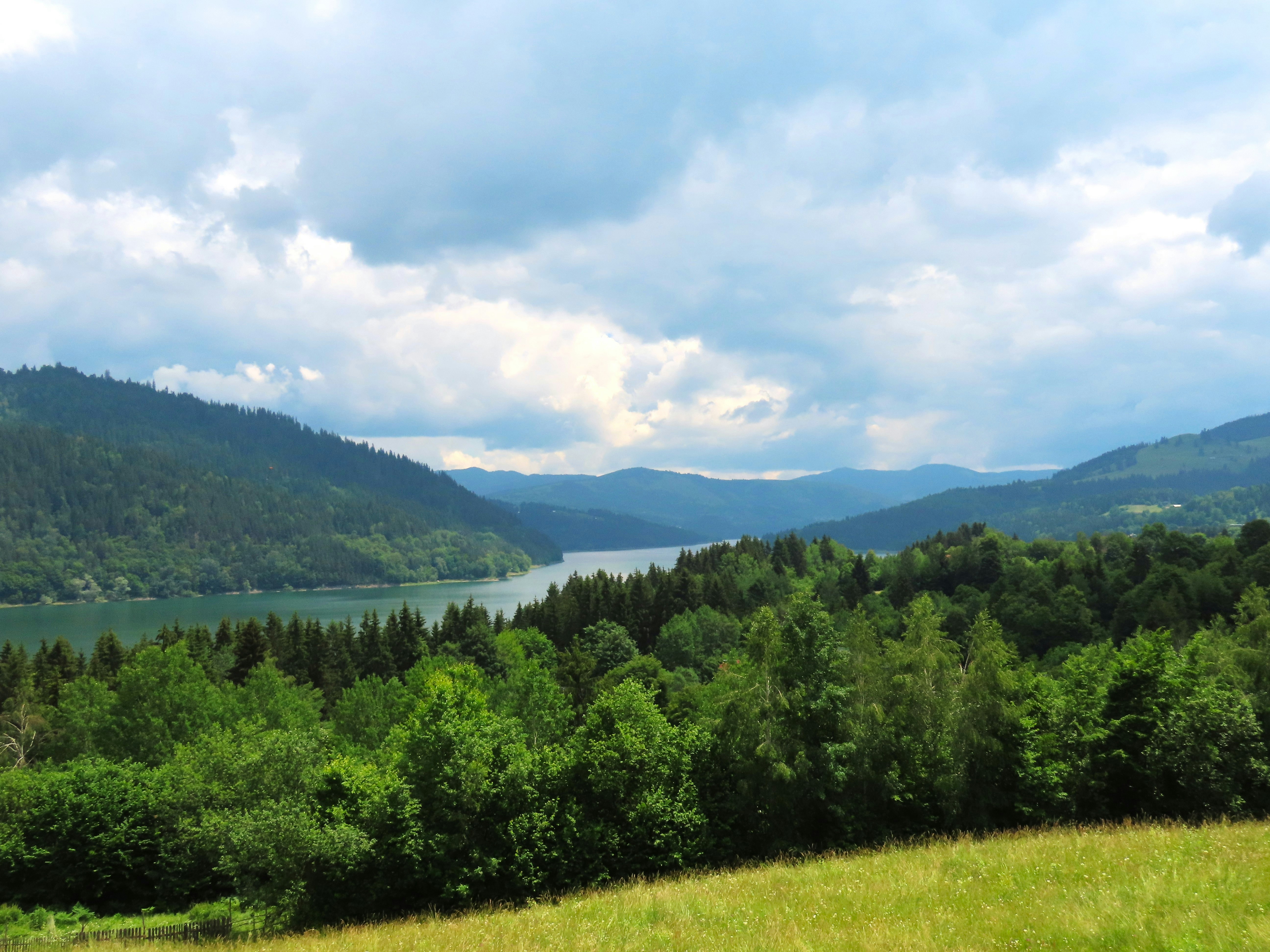 a scenic view of a lake surrounded by trees