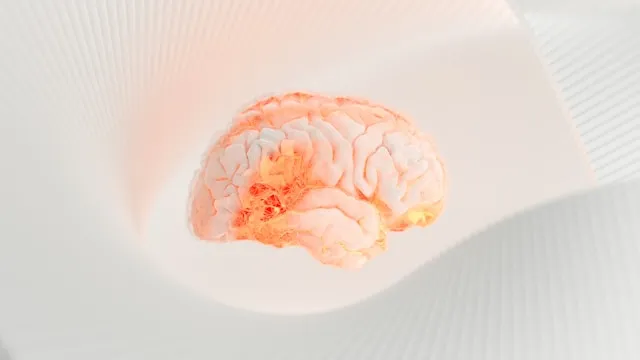 Illustration of Brain 