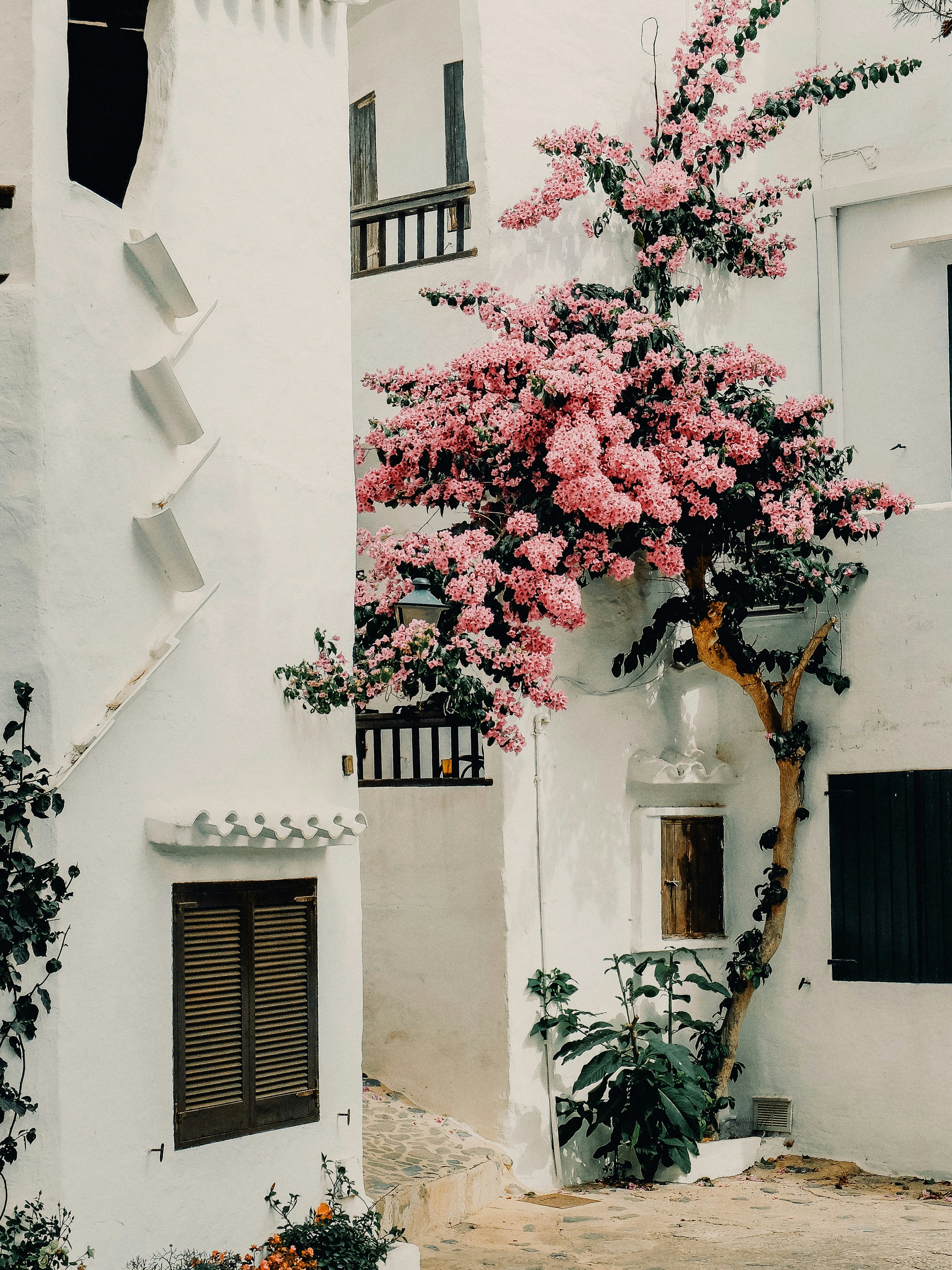 blue and white painted houses on the cliff
