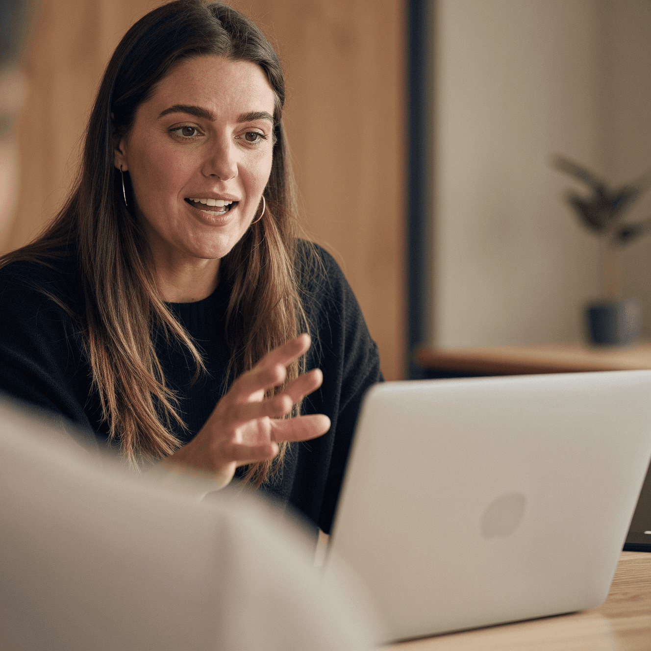 Close-up of a dark green leaf showing its textured surface and central vein against a muted background.