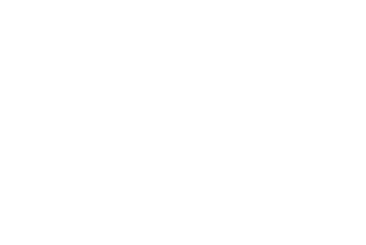 Vision 2030 - Kingdom of Saudi Arabia